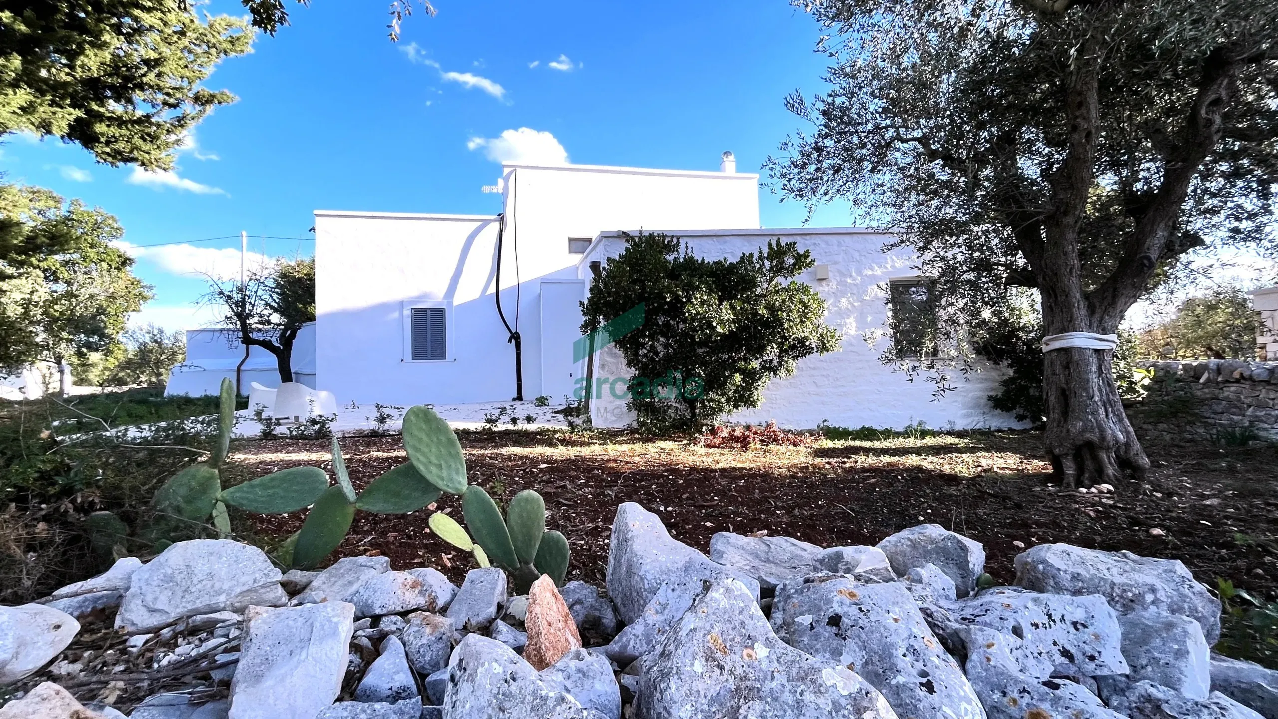 Foto 42 di 46 - Casa indipendente in vendita a Monopoli