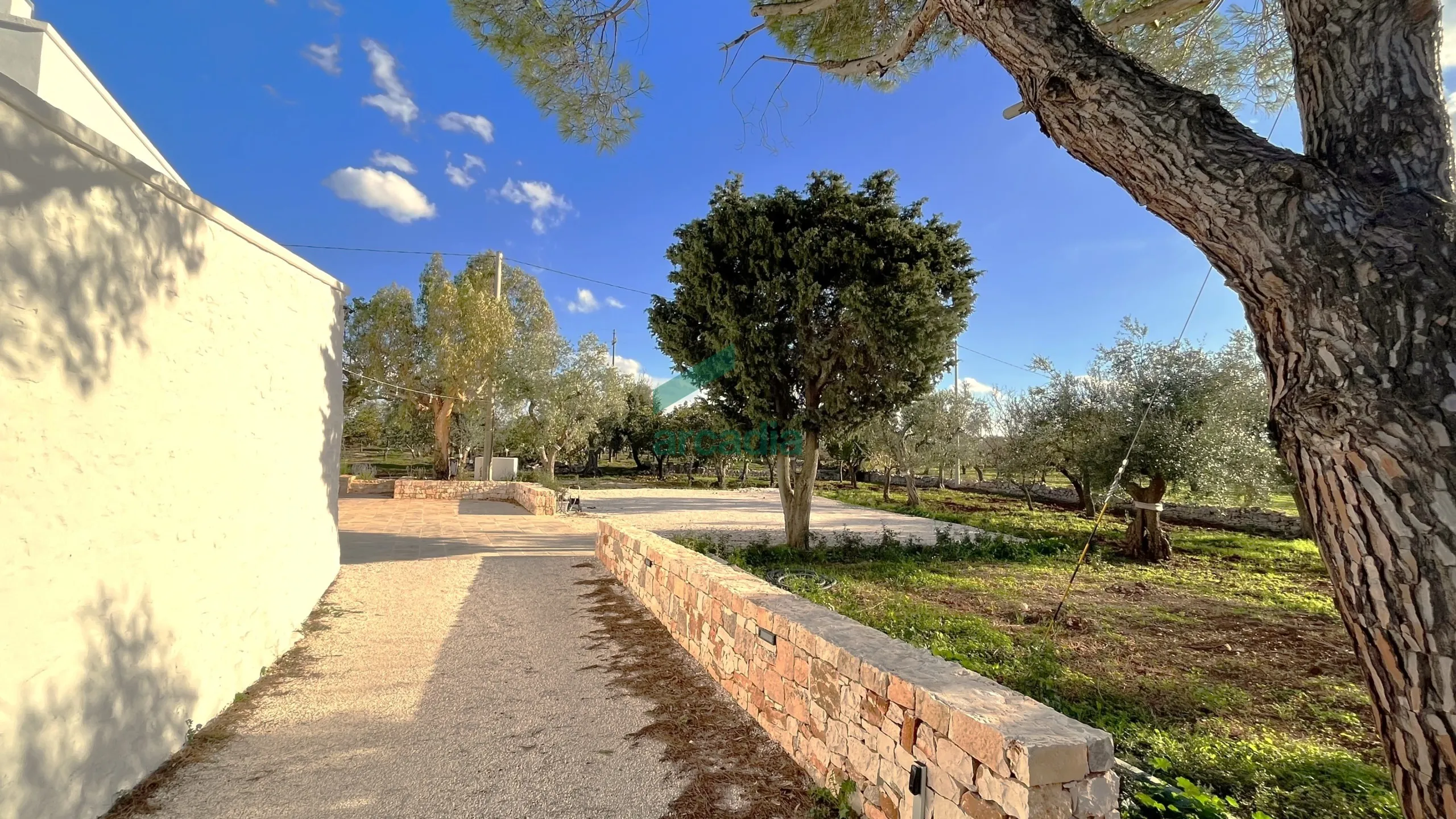 Foto 43 di 46 - Casa indipendente in vendita a Monopoli