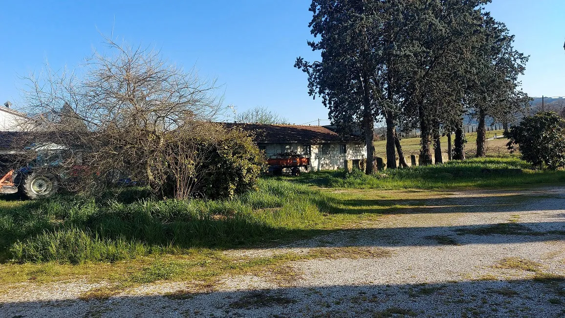 Foto 4 di 18 - Palazzo o stabile in vendita a Bettona