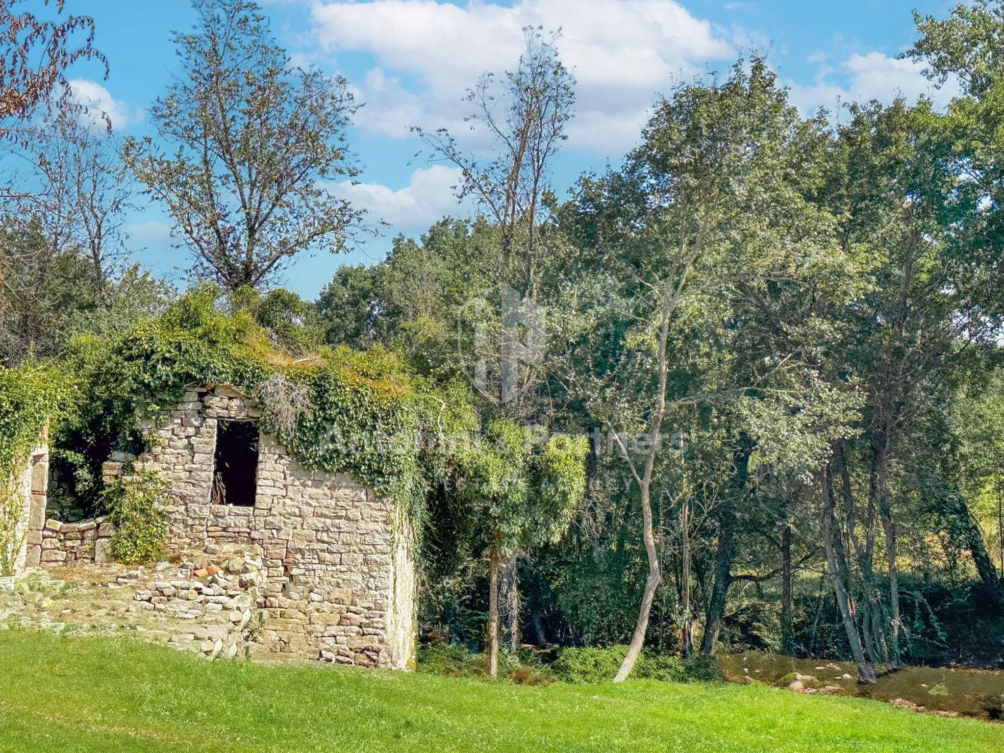 Foto 5 di 17 - Casa indipendente in vendita a Baschi