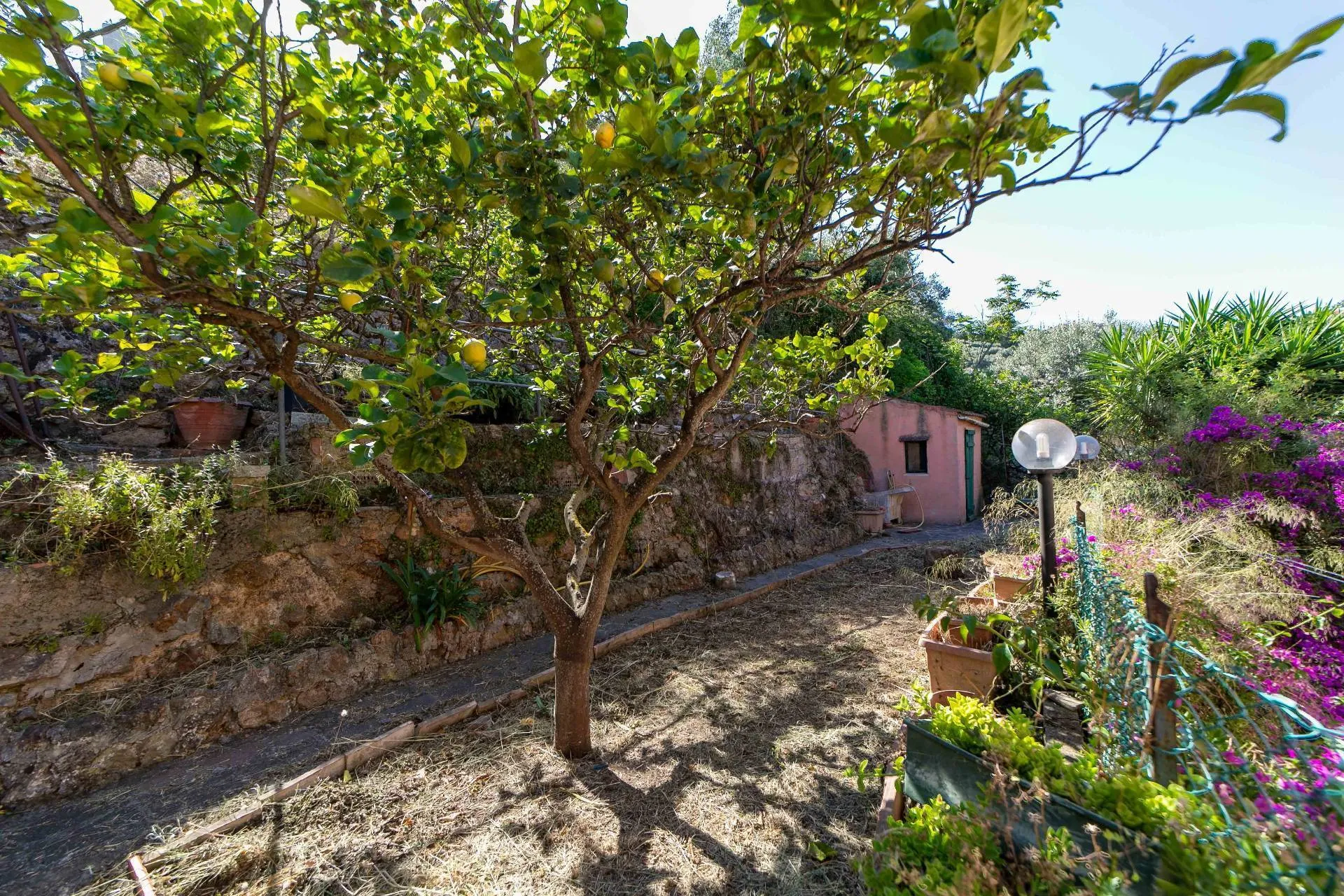 Foto 15 di 31 - Appartamento in vendita a Monte Argentario