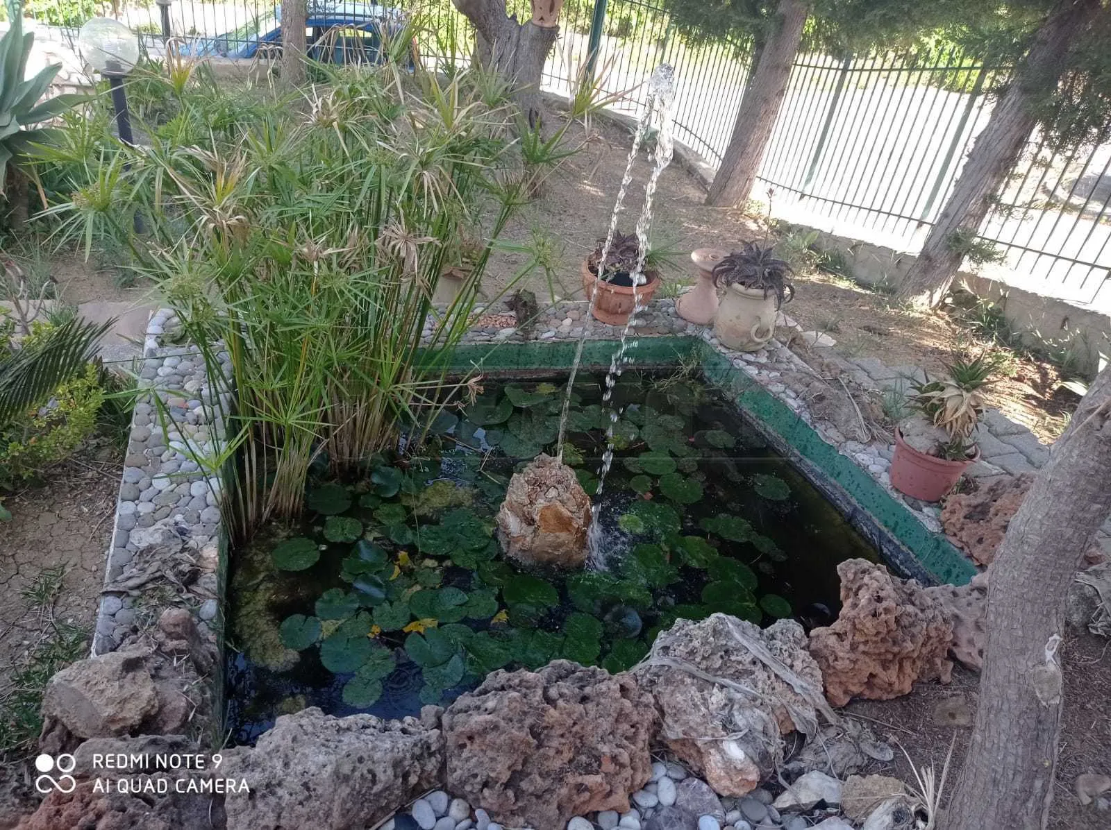 Foto 48 di 64 - Casa indipendente in vendita a Marsala