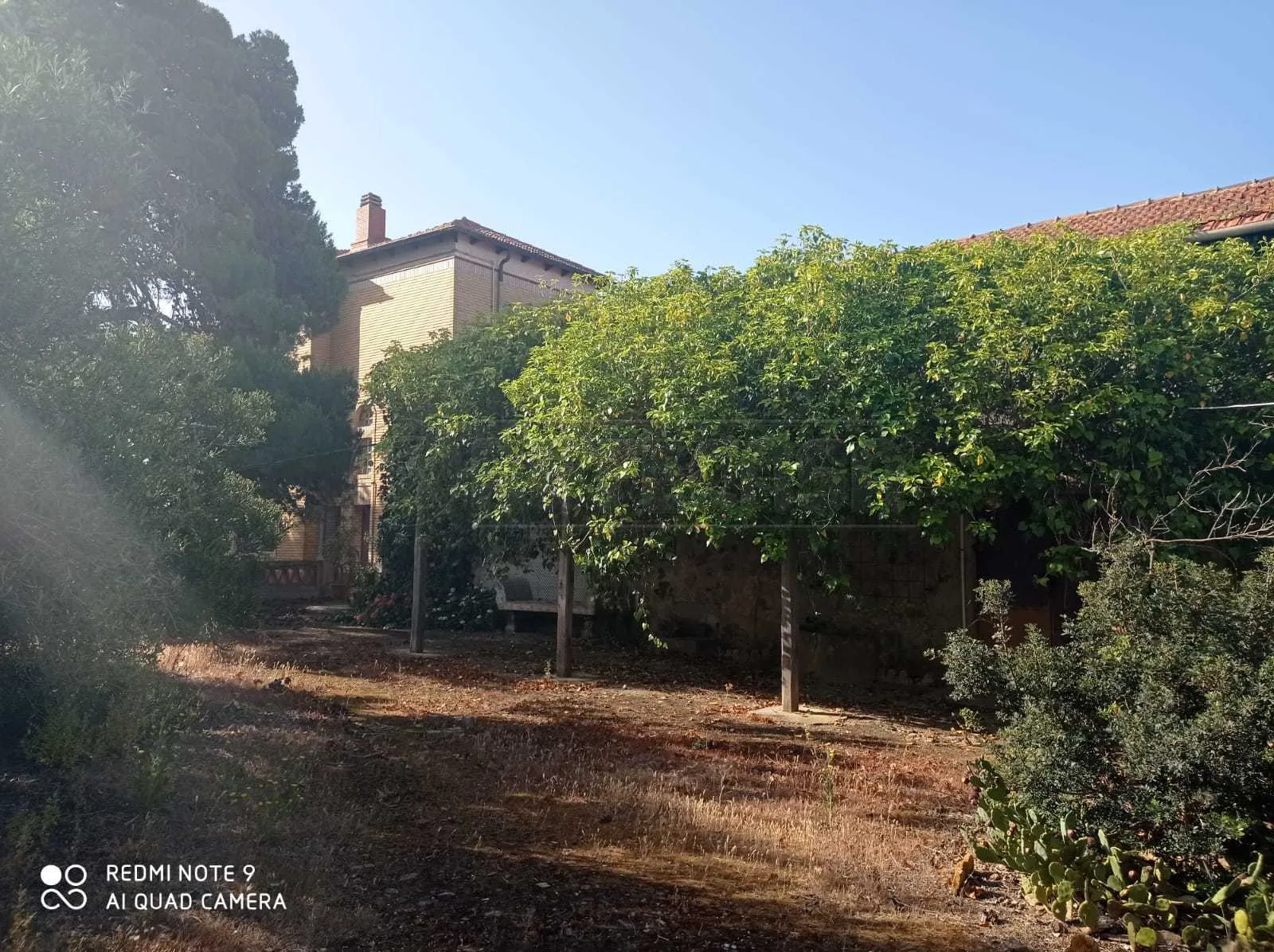 Foto 51 di 64 - Casa indipendente in vendita a Marsala