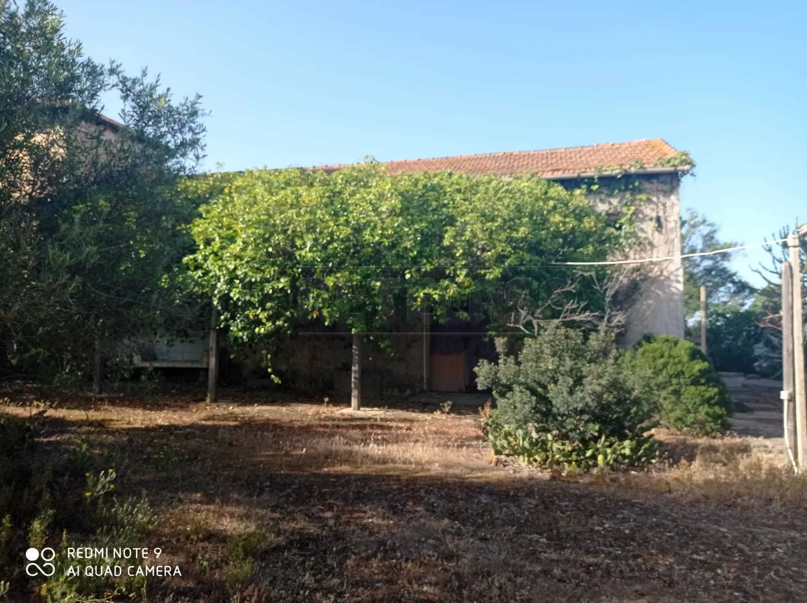 Foto 52 di 64 - Casa indipendente in vendita a Marsala