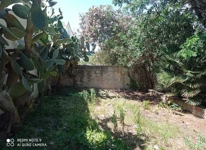 Foto 18 di 24 - Casa indipendente in vendita a Campobello di Mazara