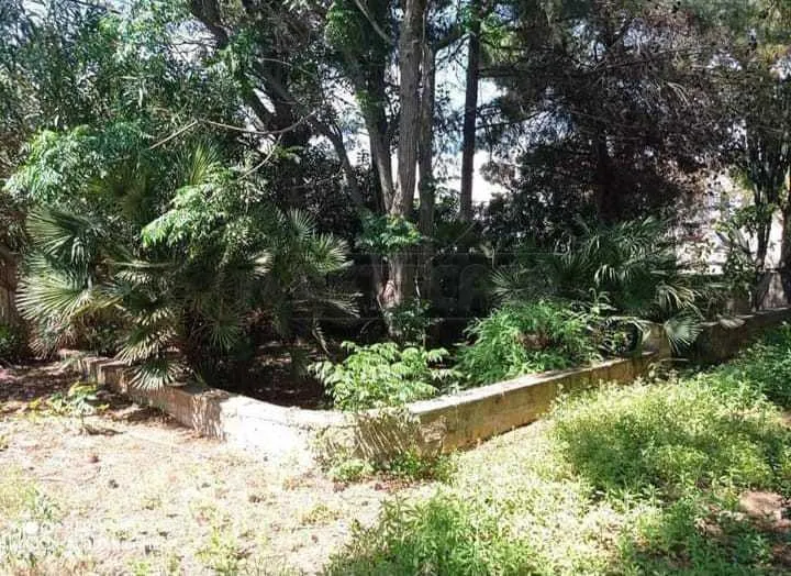 Foto 20 di 24 - Casa indipendente in vendita a Campobello di Mazara