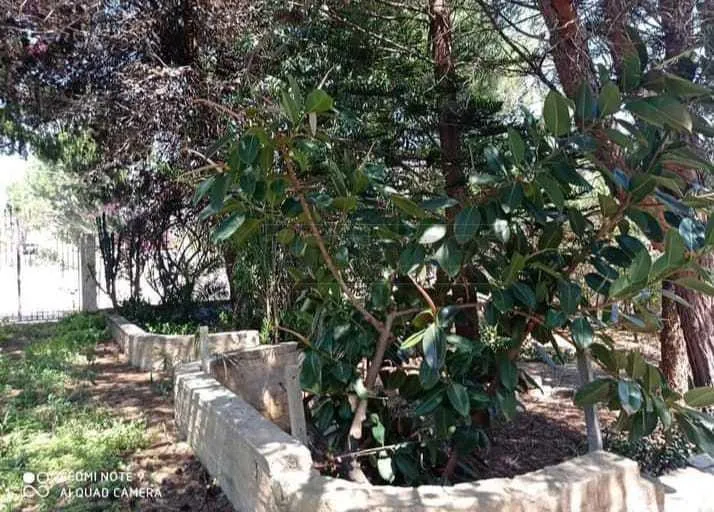 Foto 22 di 24 - Casa indipendente in vendita a Campobello di Mazara