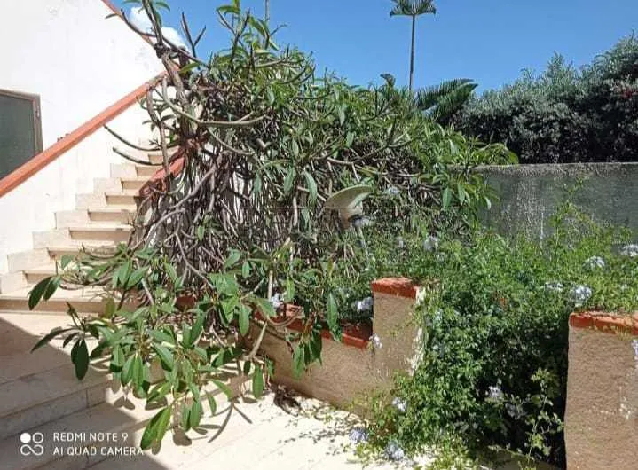 Foto 24 di 24 - Casa indipendente in vendita a Campobello di Mazara