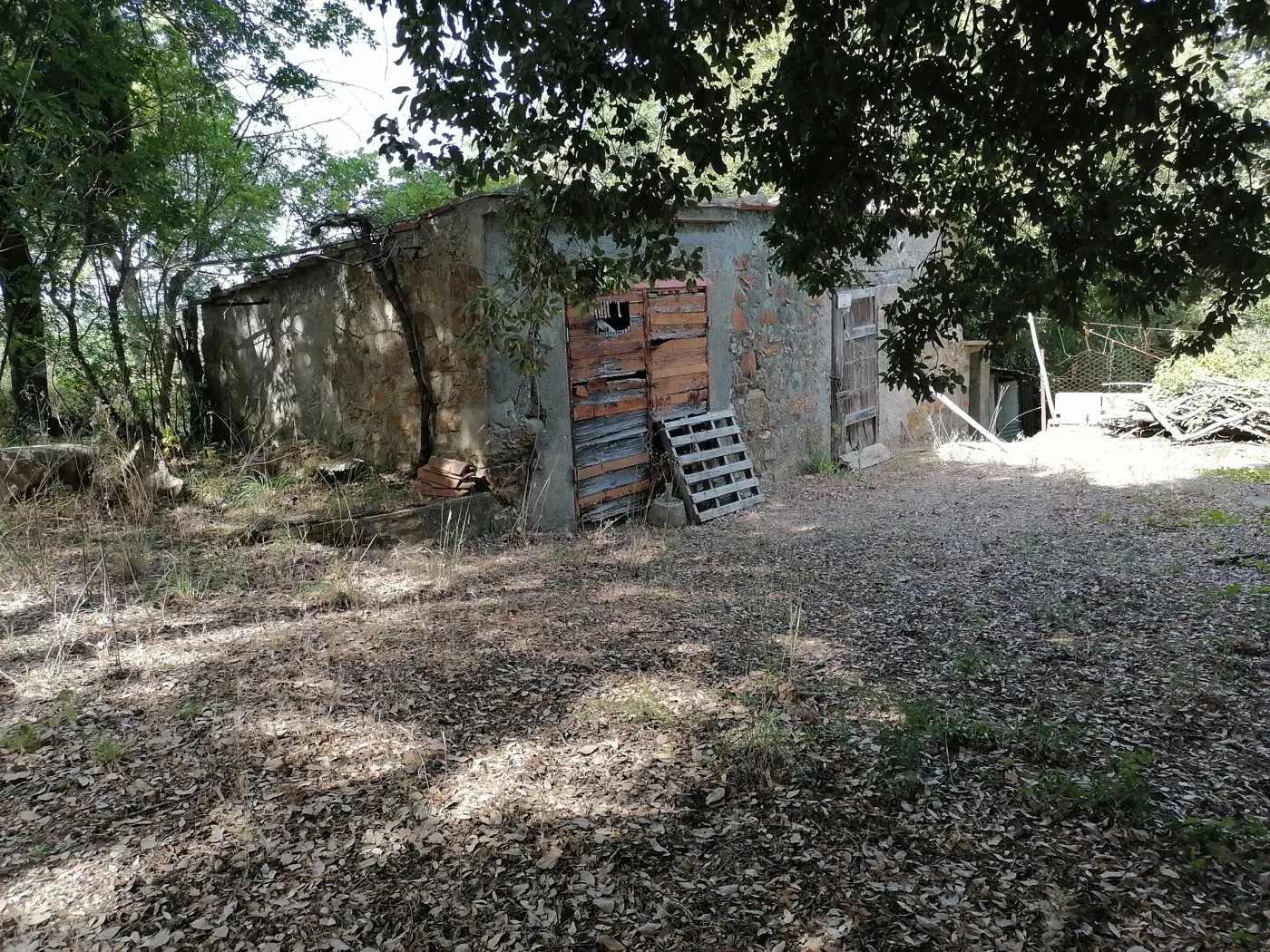 Foto 20 di 24 - Appartamento in vendita a Massa Marittima