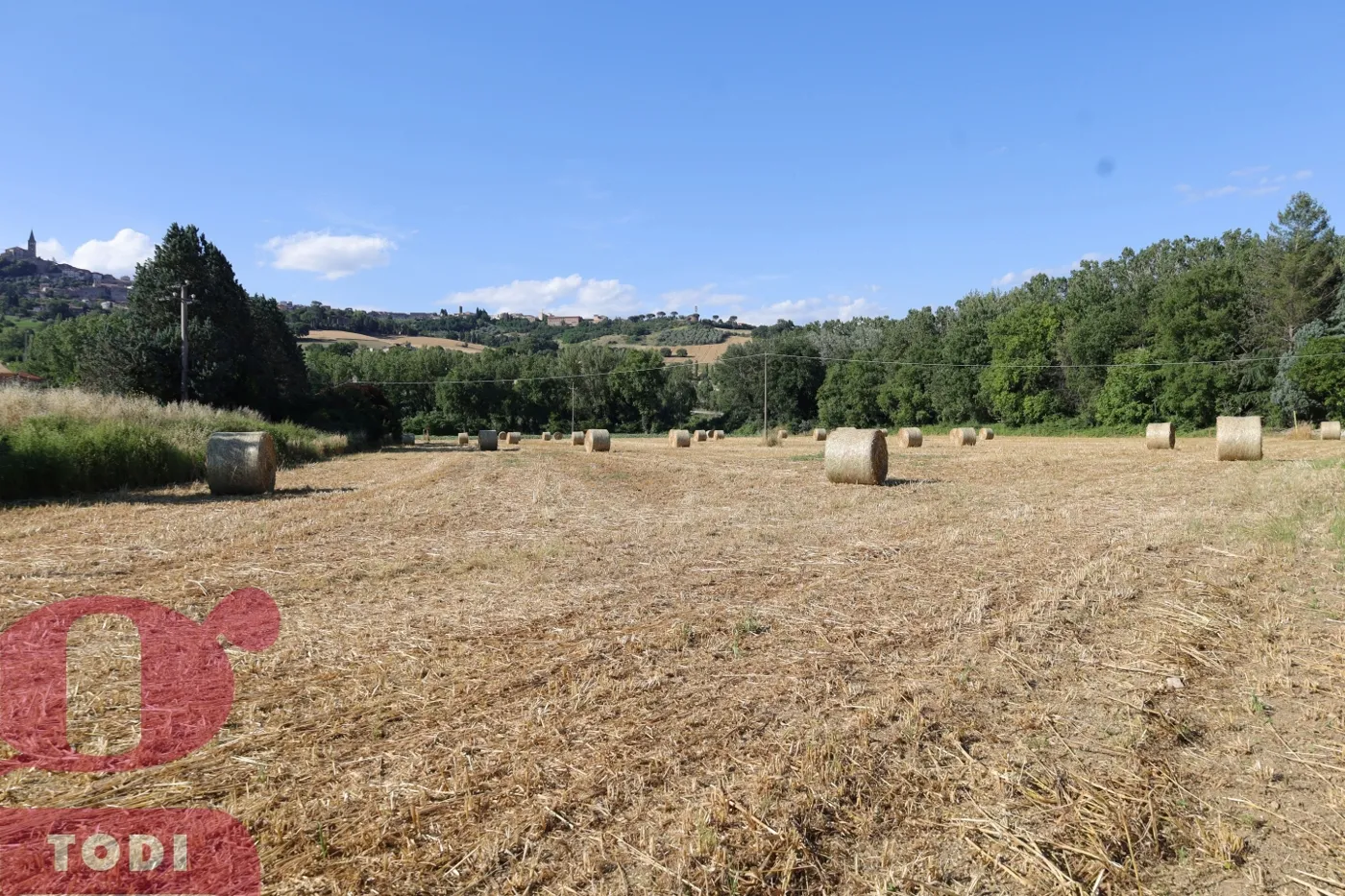 Foto 1 di 15 - Terreno in vendita a Todi