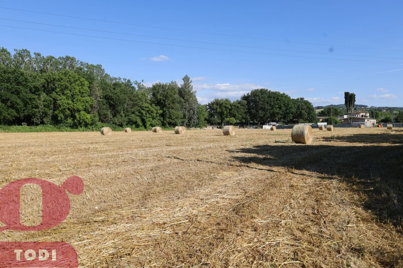 Foto 6 di 15 - Terreno in vendita a Todi
