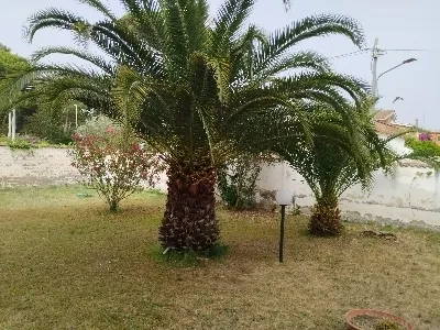Foto 8 di 19 - Casa indipendente in vendita a Anzio