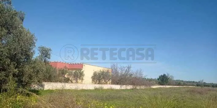 Foto 5 di 17 - Villa a schiera in vendita a Castelvetrano