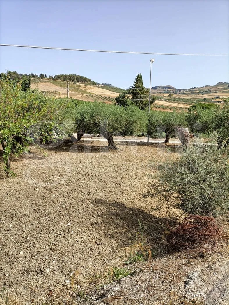 Foto 4 di 17 - Casa indipendente in vendita a Erice