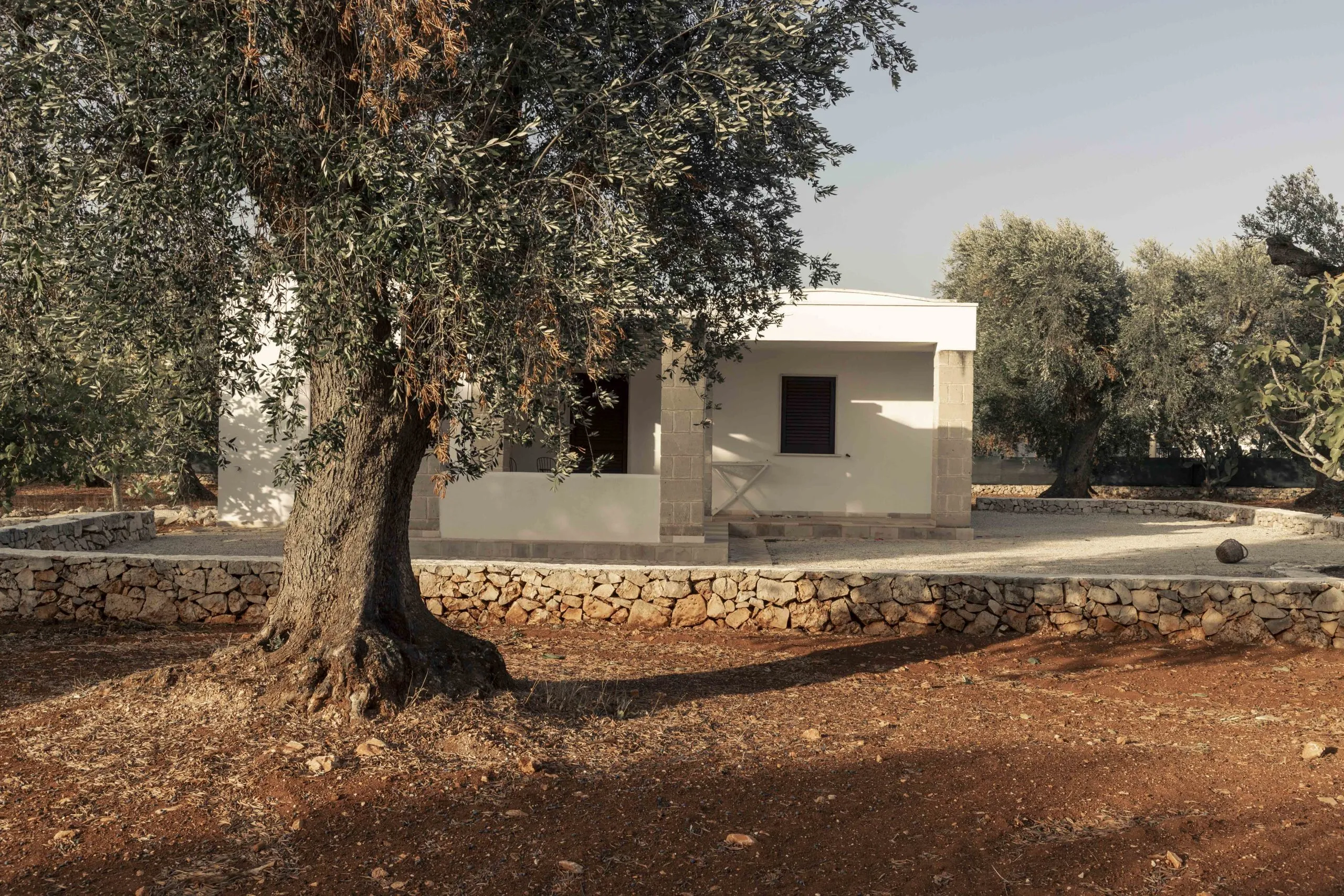 Foto 4 di 17 - Casa indipendente in vendita a San Vito dei Normanni