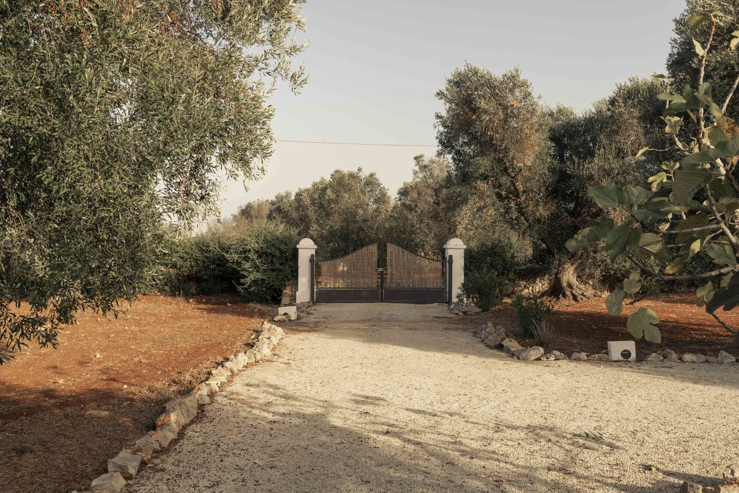 Foto 14 di 17 - Casa indipendente in vendita a San Vito dei Normanni