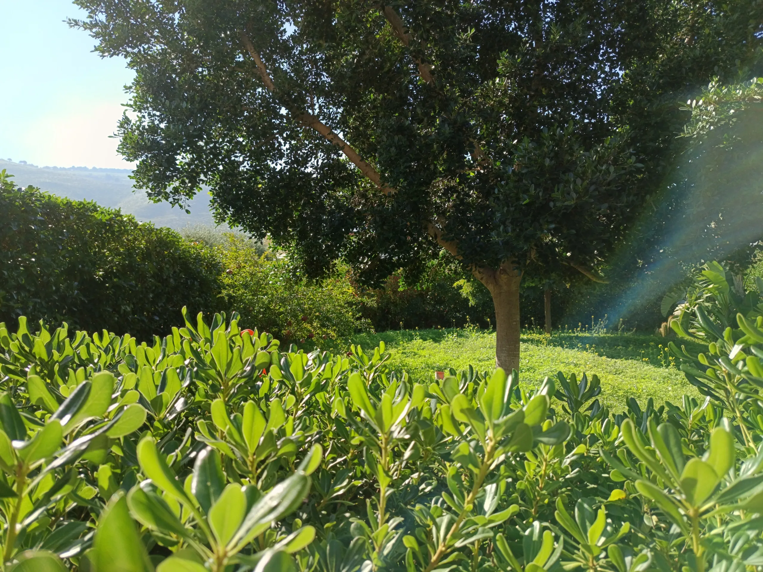 Foto 55 di 83 - Villa a schiera in vendita a Castellammare del Golfo