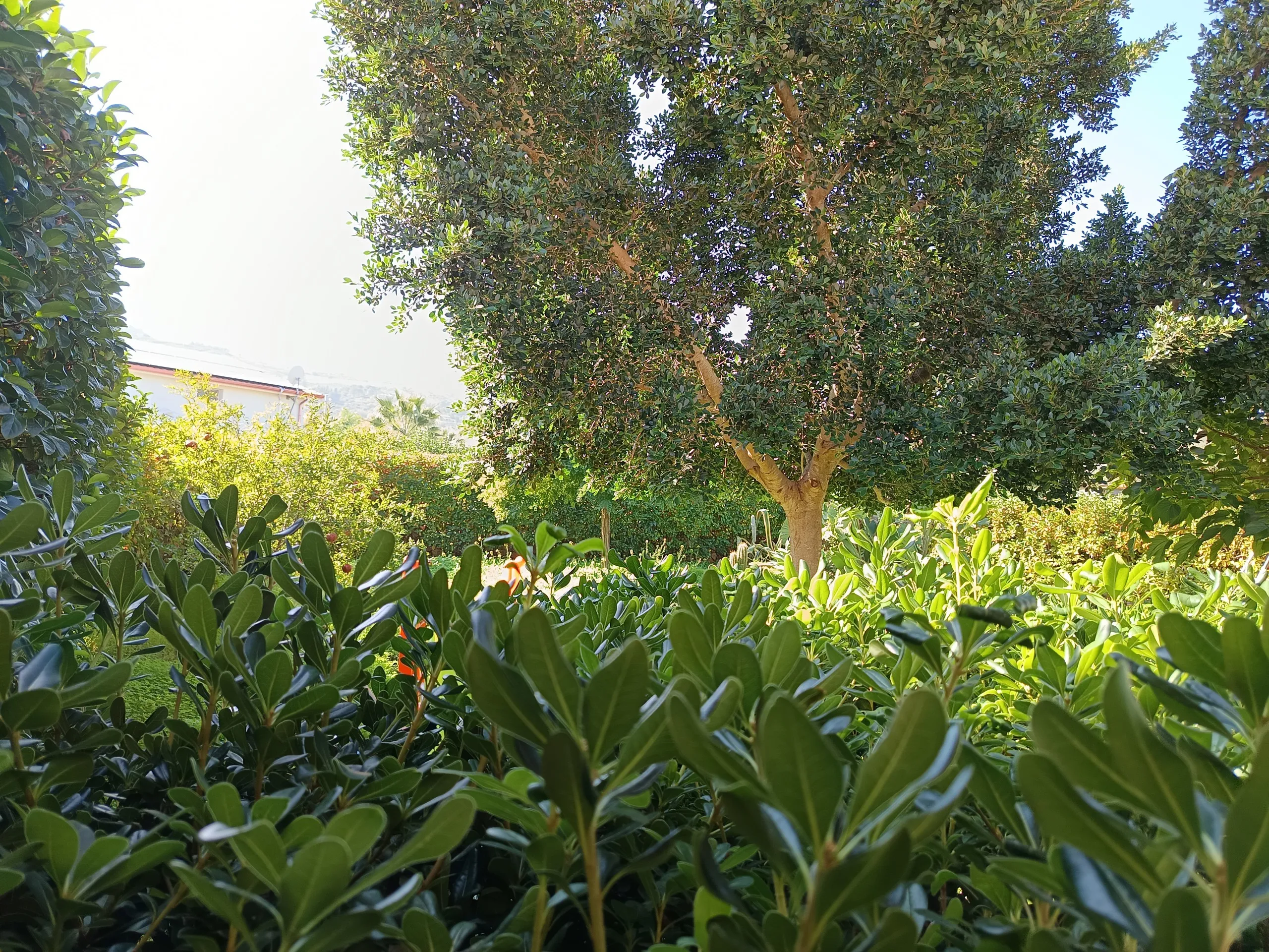 Foto 56 di 83 - Villa a schiera in vendita a Castellammare del Golfo