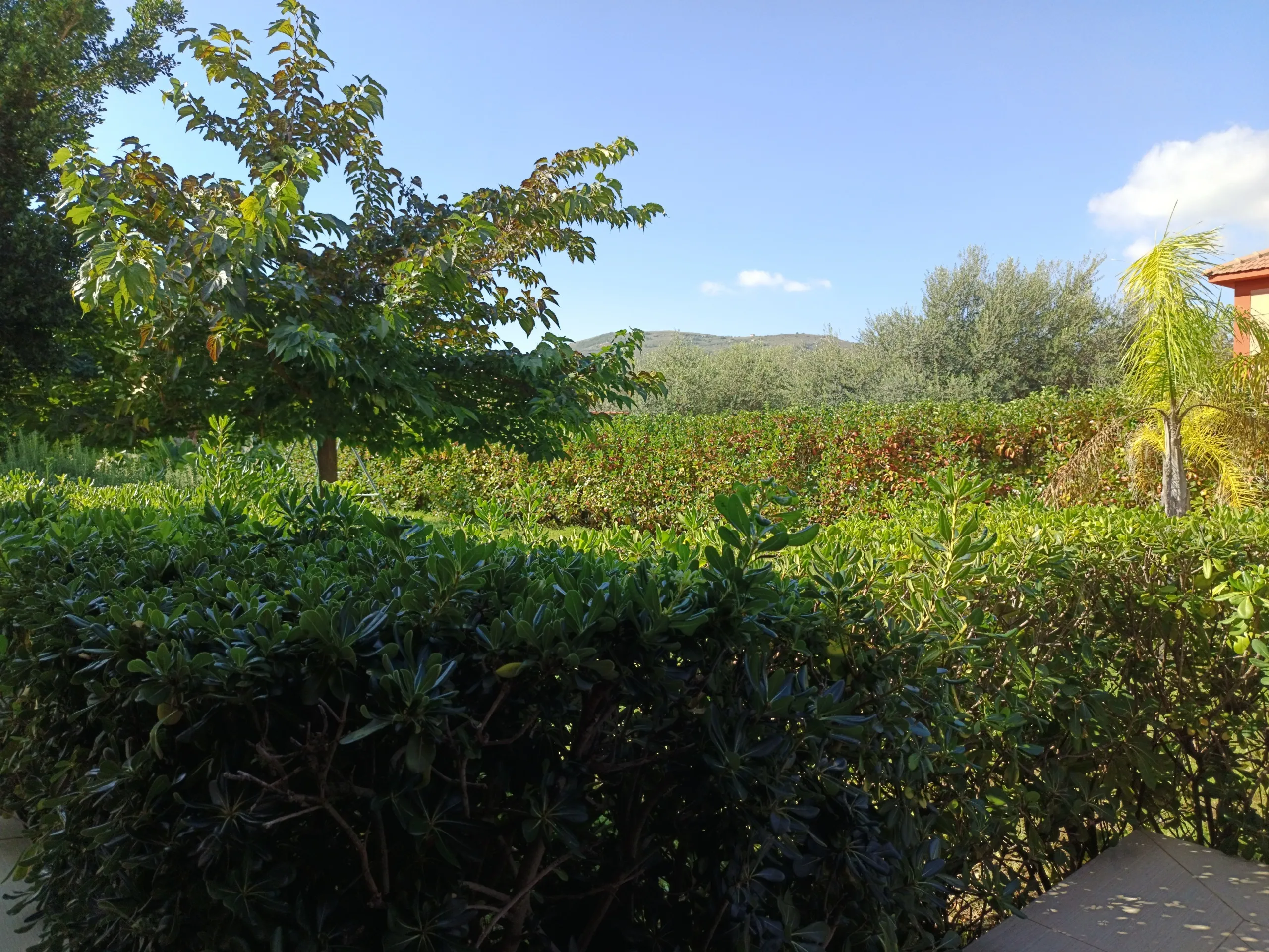 Foto 57 di 83 - Villa a schiera in vendita a Castellammare del Golfo