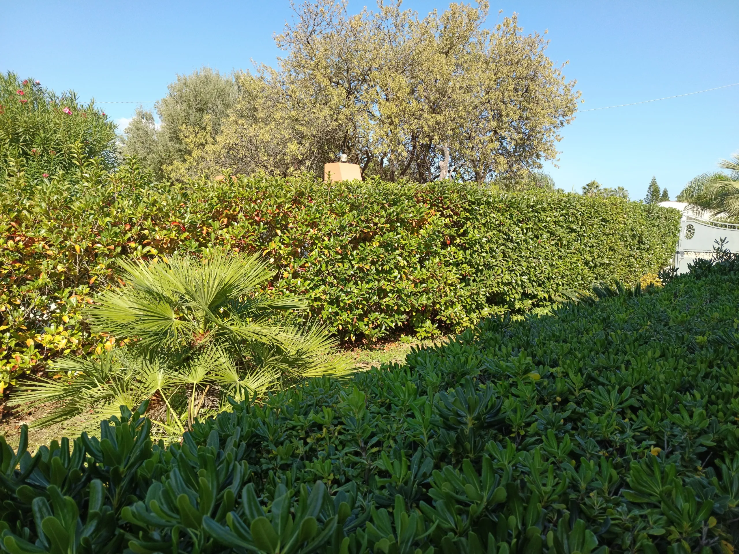Foto 59 di 83 - Villa a schiera in vendita a Castellammare del Golfo