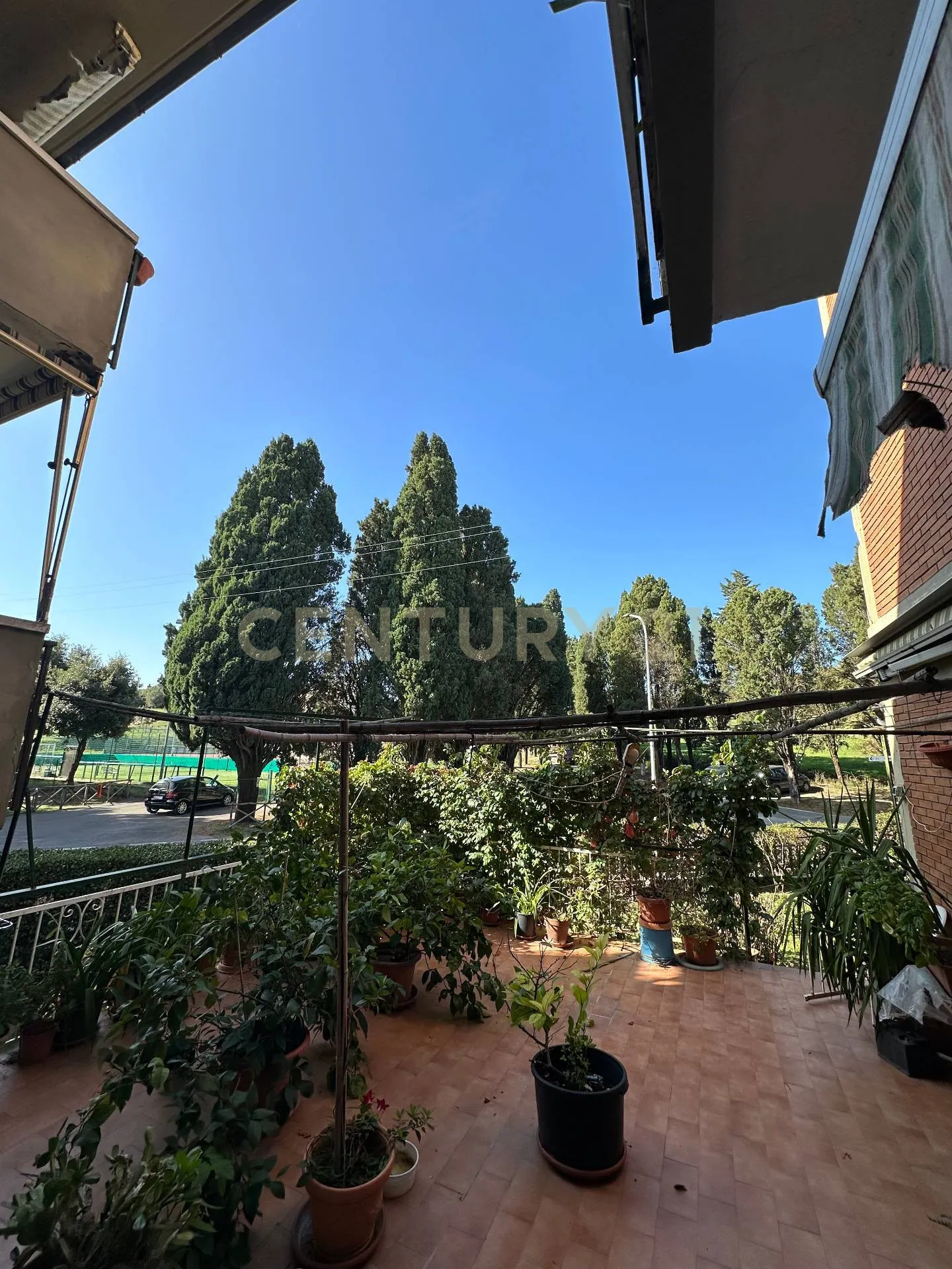 Foto 4 di 23 - Appartamento in vendita a Scansano
