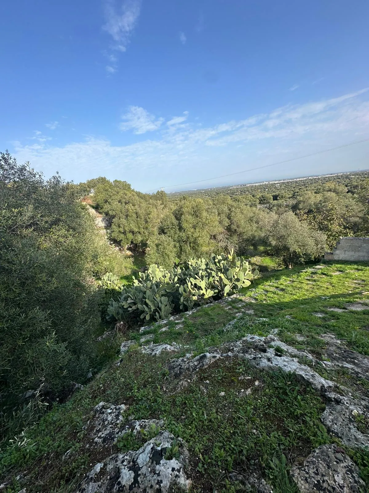 Foto 2 di 27 - Casa indipendente in vendita a Ostuni