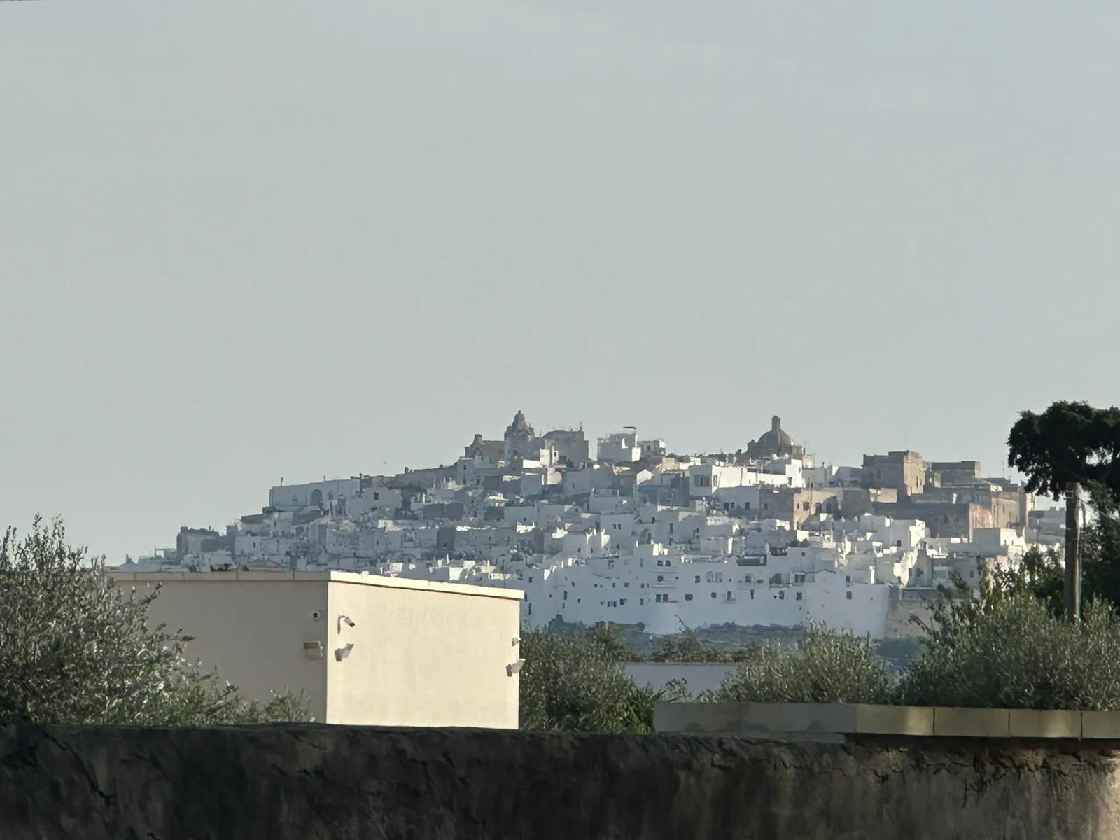 Foto 3 di 27 - Casa indipendente in vendita a Ostuni