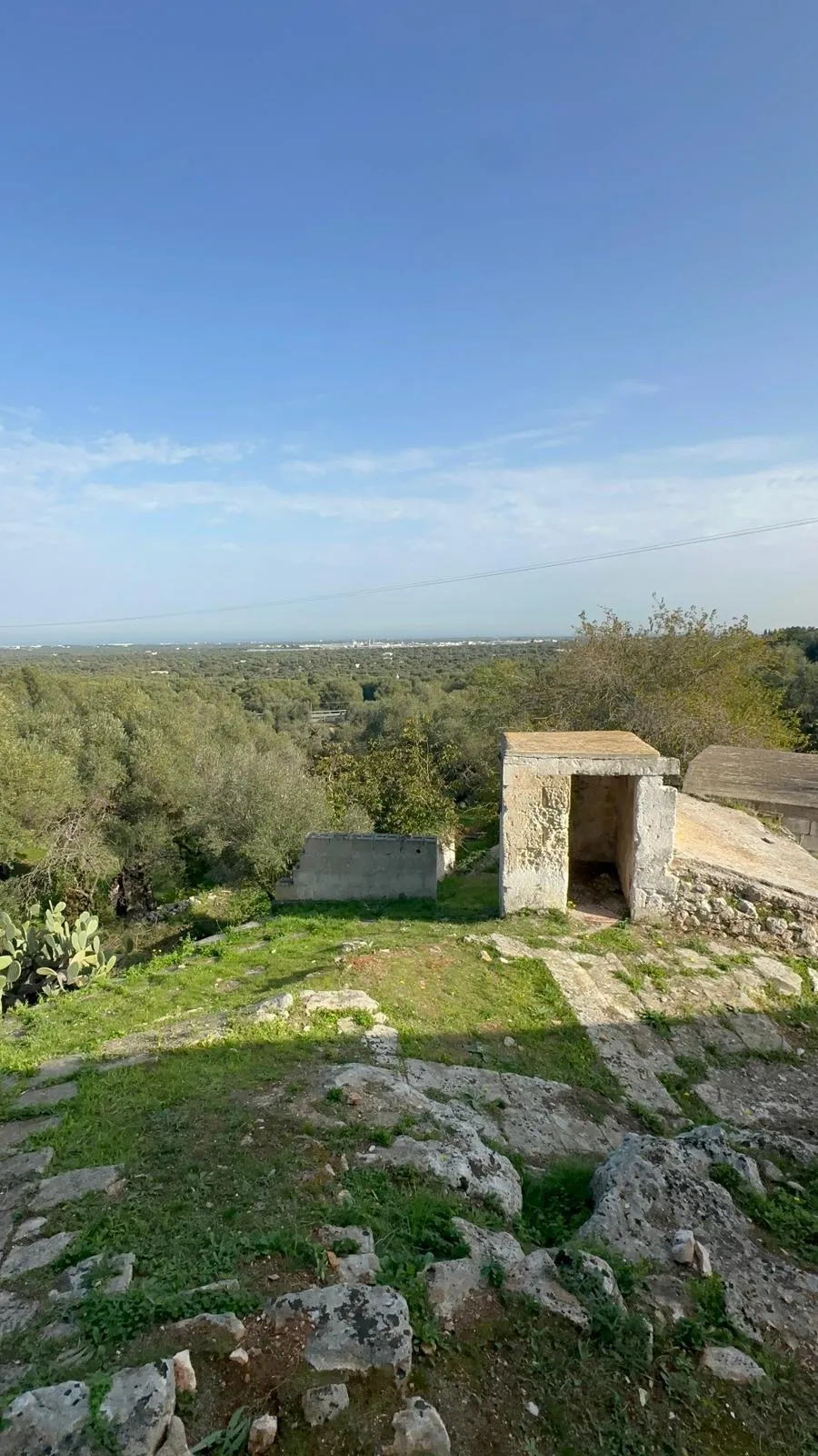 Foto 4 di 27 - Casa indipendente in vendita a Ostuni