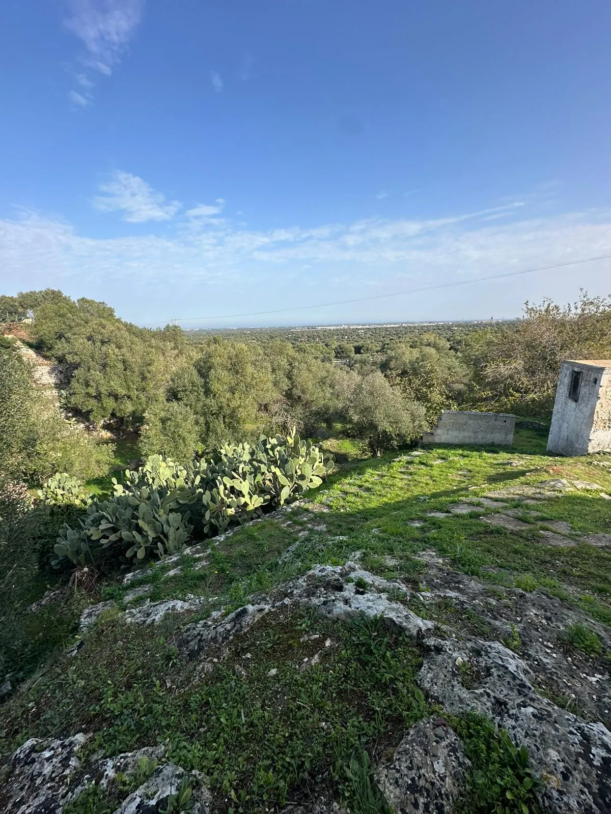 Foto 6 di 27 - Casa indipendente in vendita a Ostuni