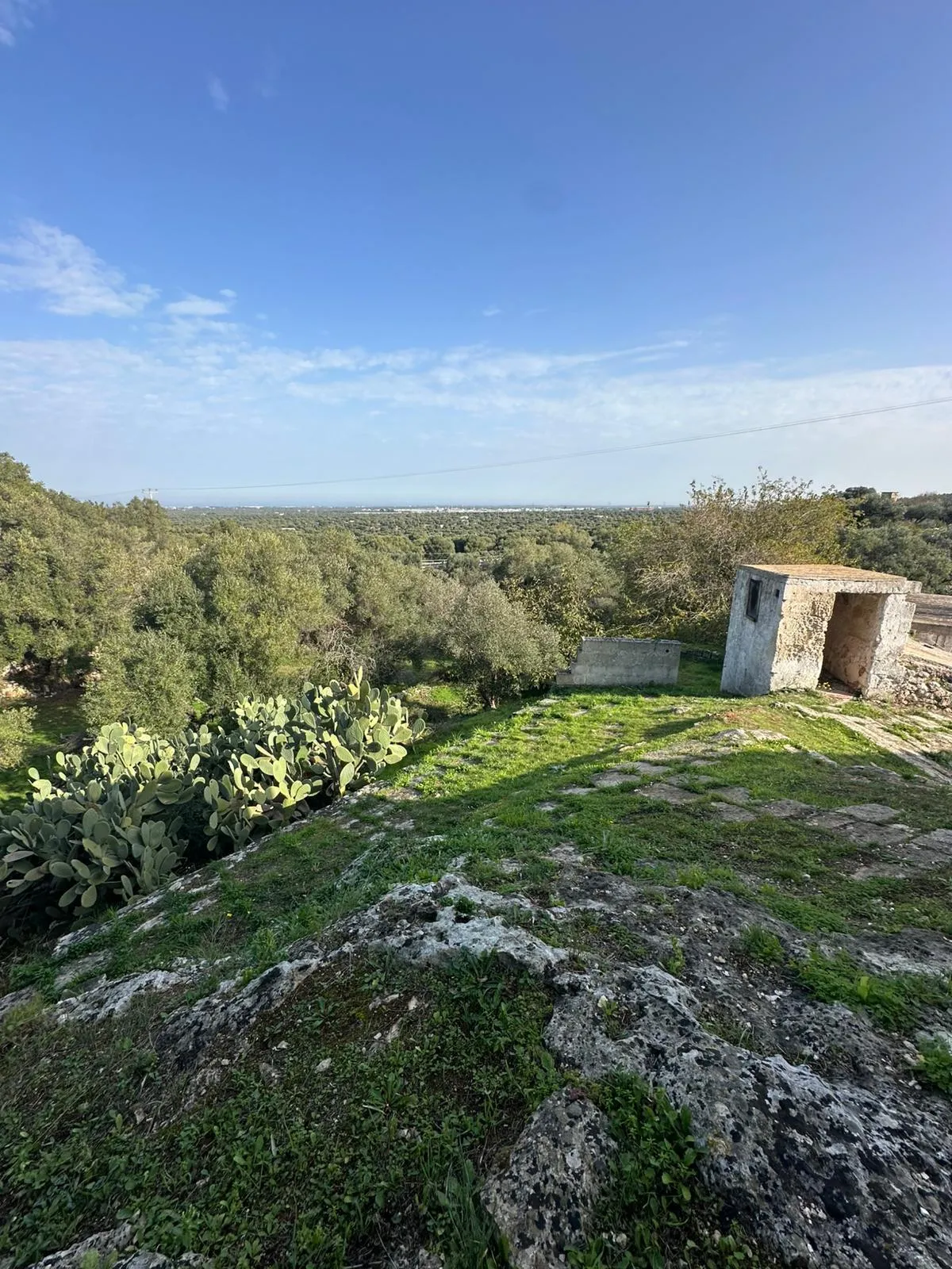 Foto 9 di 27 - Casa indipendente in vendita a Ostuni