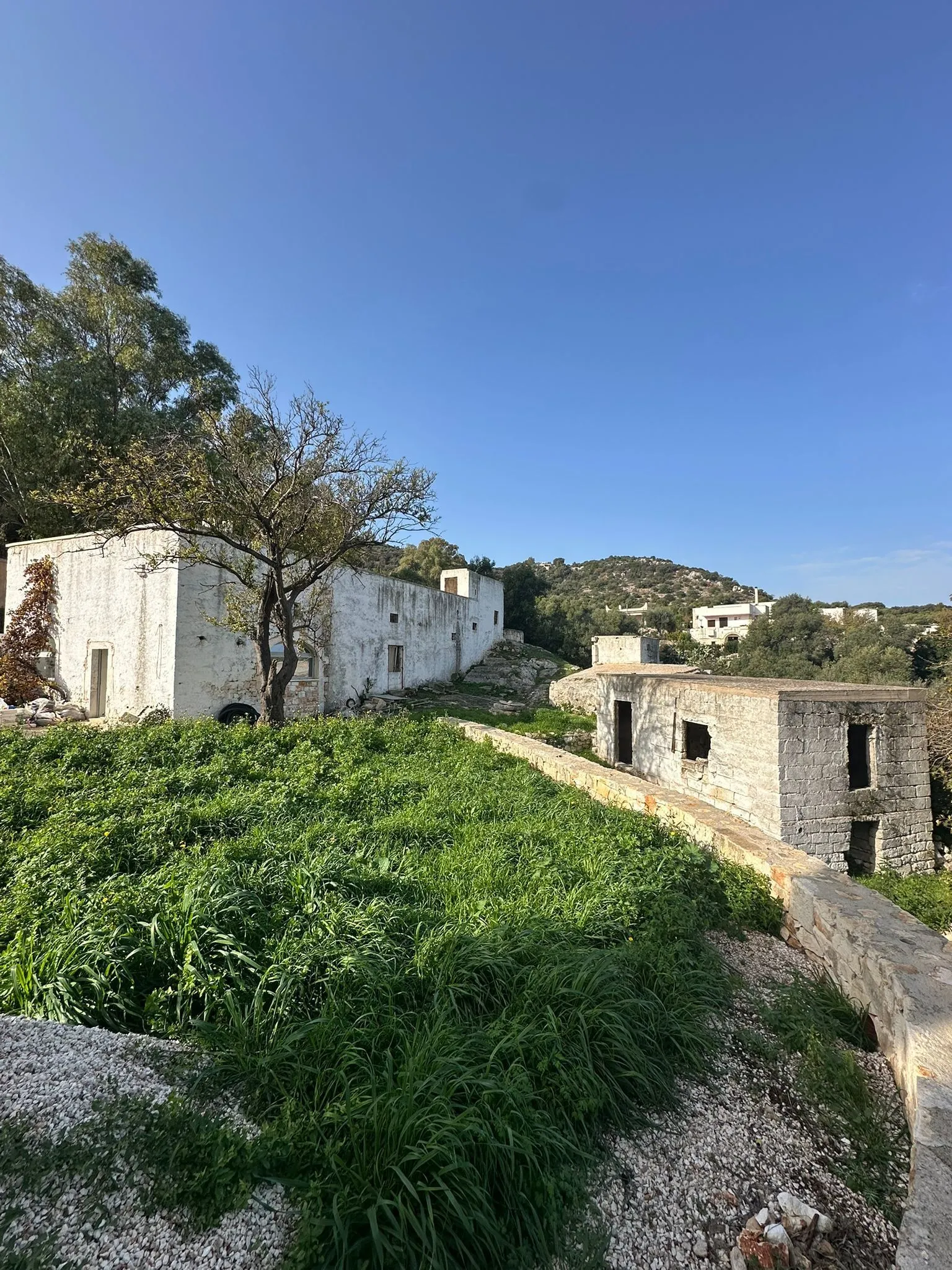 Foto 15 di 27 - Casa indipendente in vendita a Ostuni