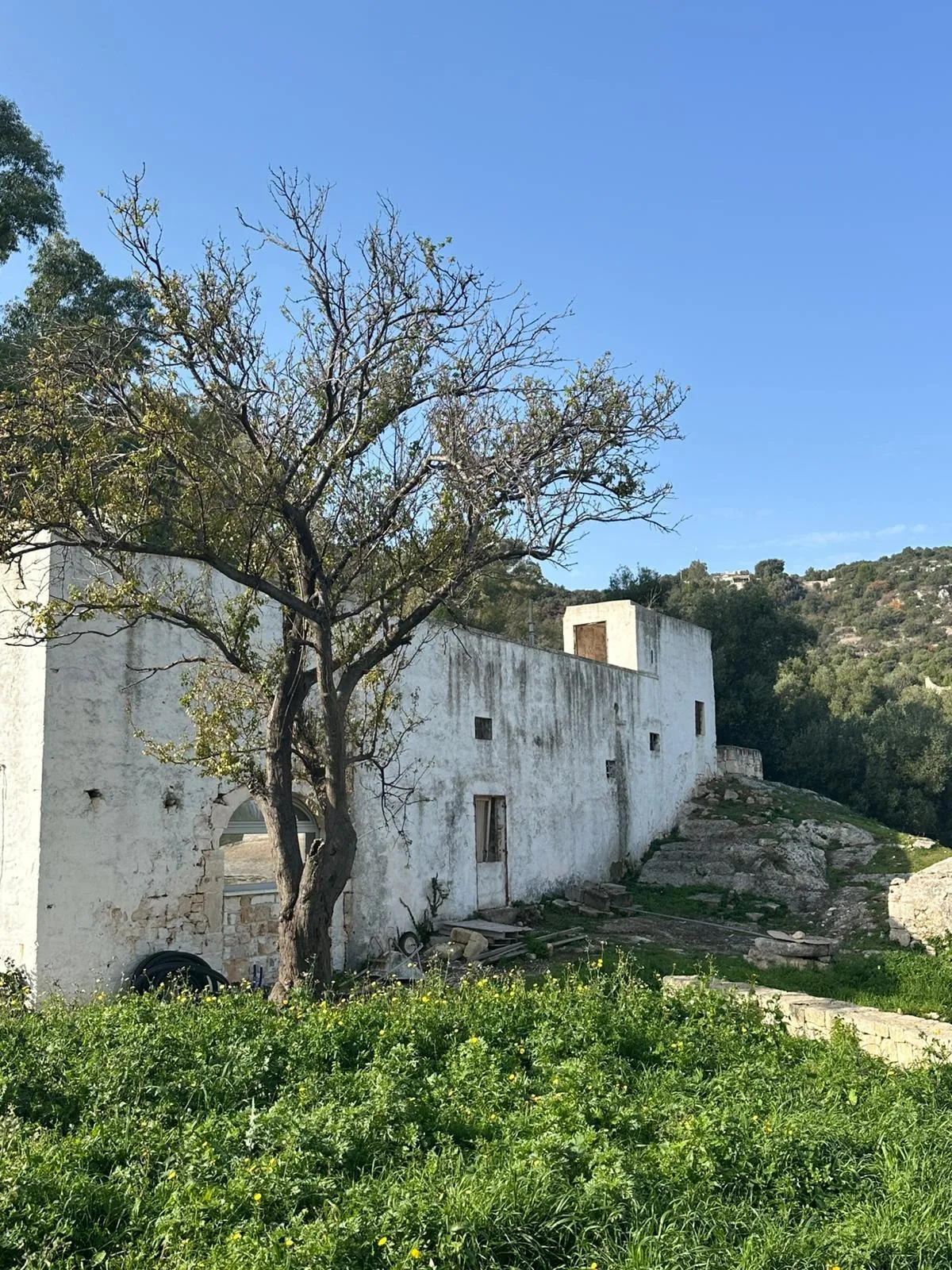 Foto 19 di 27 - Casa indipendente in vendita a Ostuni