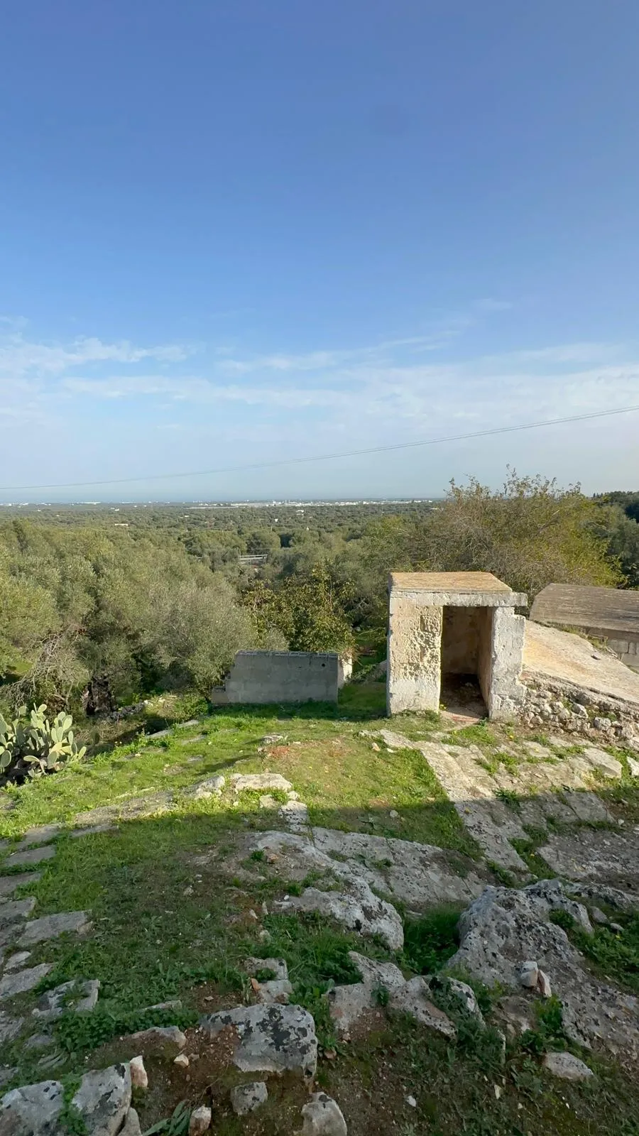 Foto 23 di 27 - Casa indipendente in vendita a Ostuni