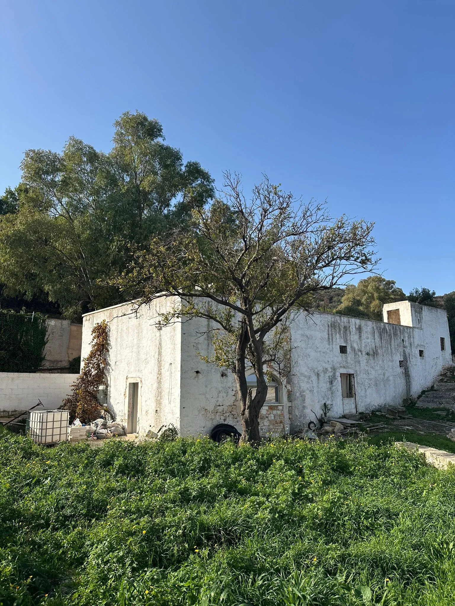Foto 26 di 27 - Casa indipendente in vendita a Ostuni