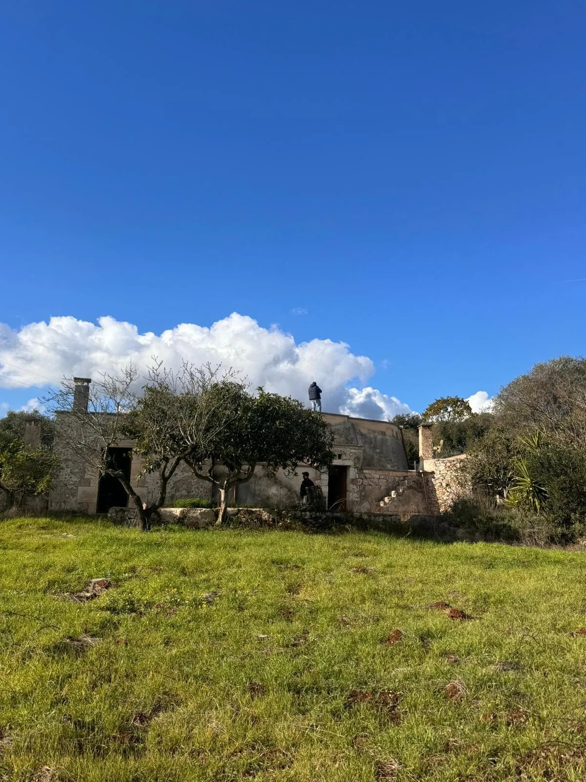 Foto 2 di 18 - Casa indipendente in vendita a Ostuni
