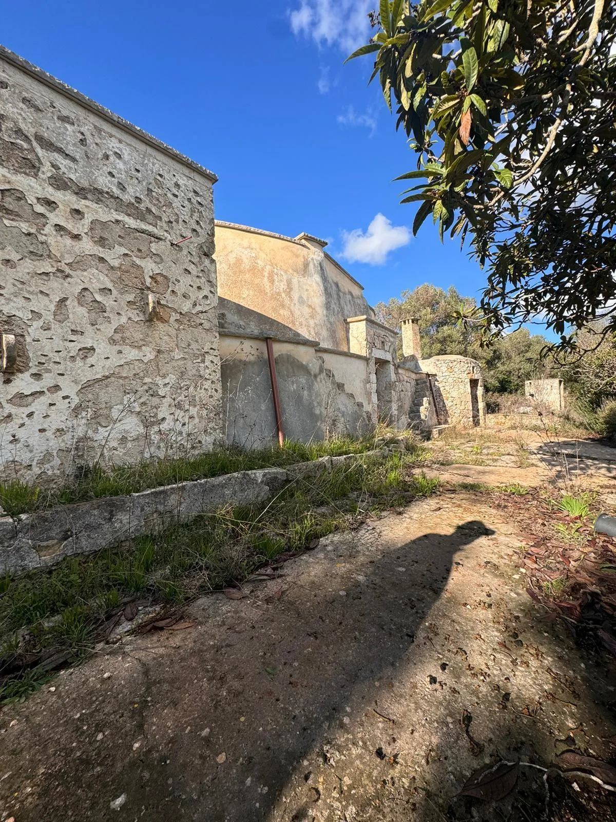 Foto 3 di 18 - Casa indipendente in vendita a Ostuni