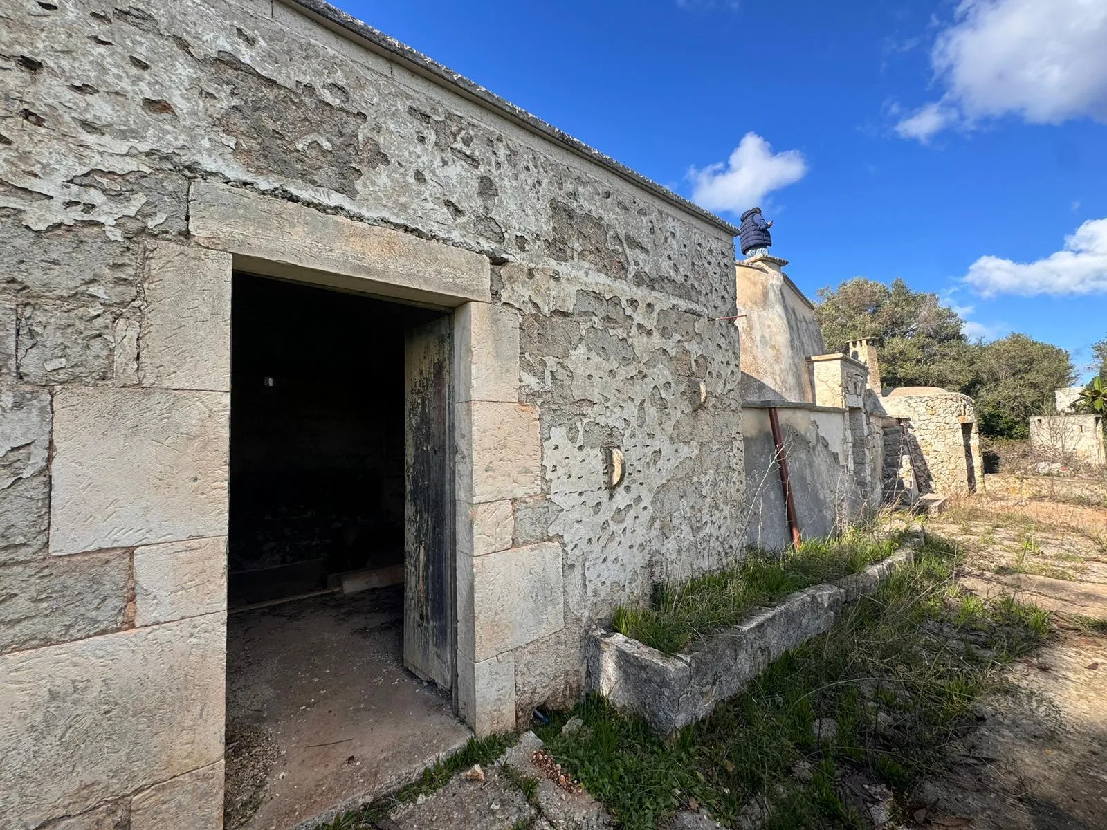 Foto 4 di 18 - Casa indipendente in vendita a Ostuni