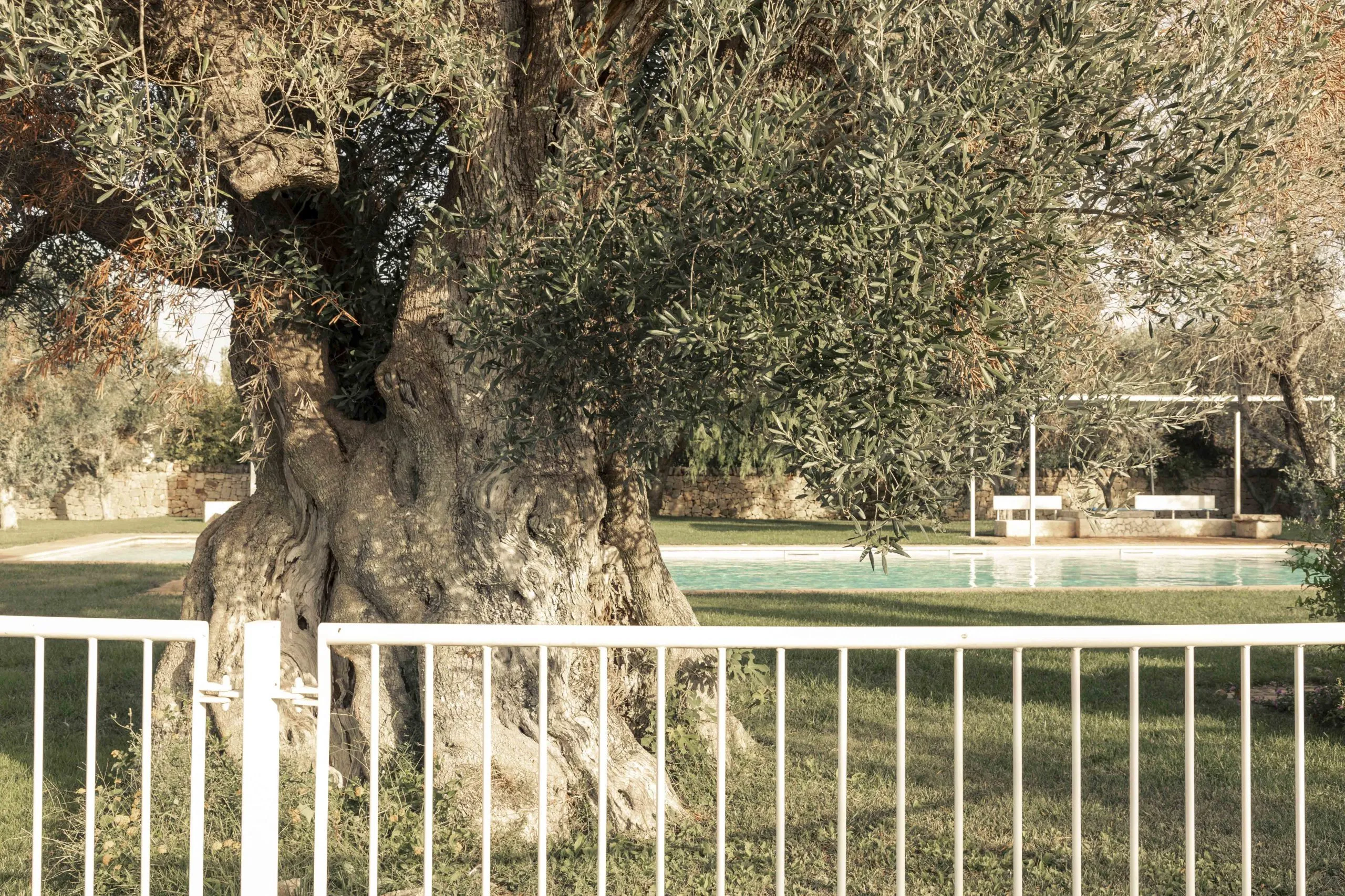 Foto 54 di 75 - Casa indipendente in vendita a San Vito dei Normanni
