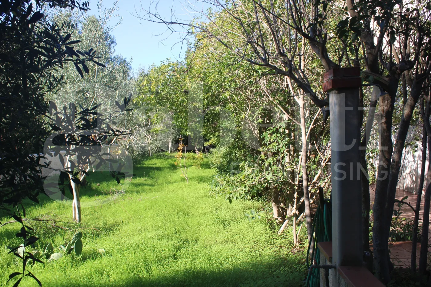Foto 45 di 48 - Villa in vendita a Castellammare del Golfo