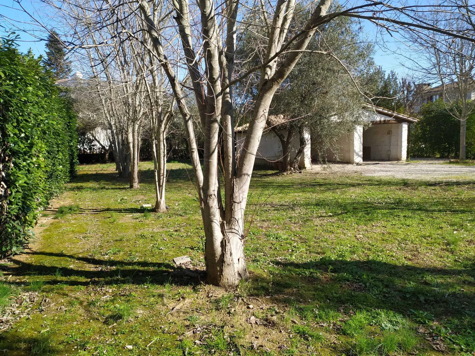 Foto 5 di 23 - Casa indipendente in vendita a Attigliano
