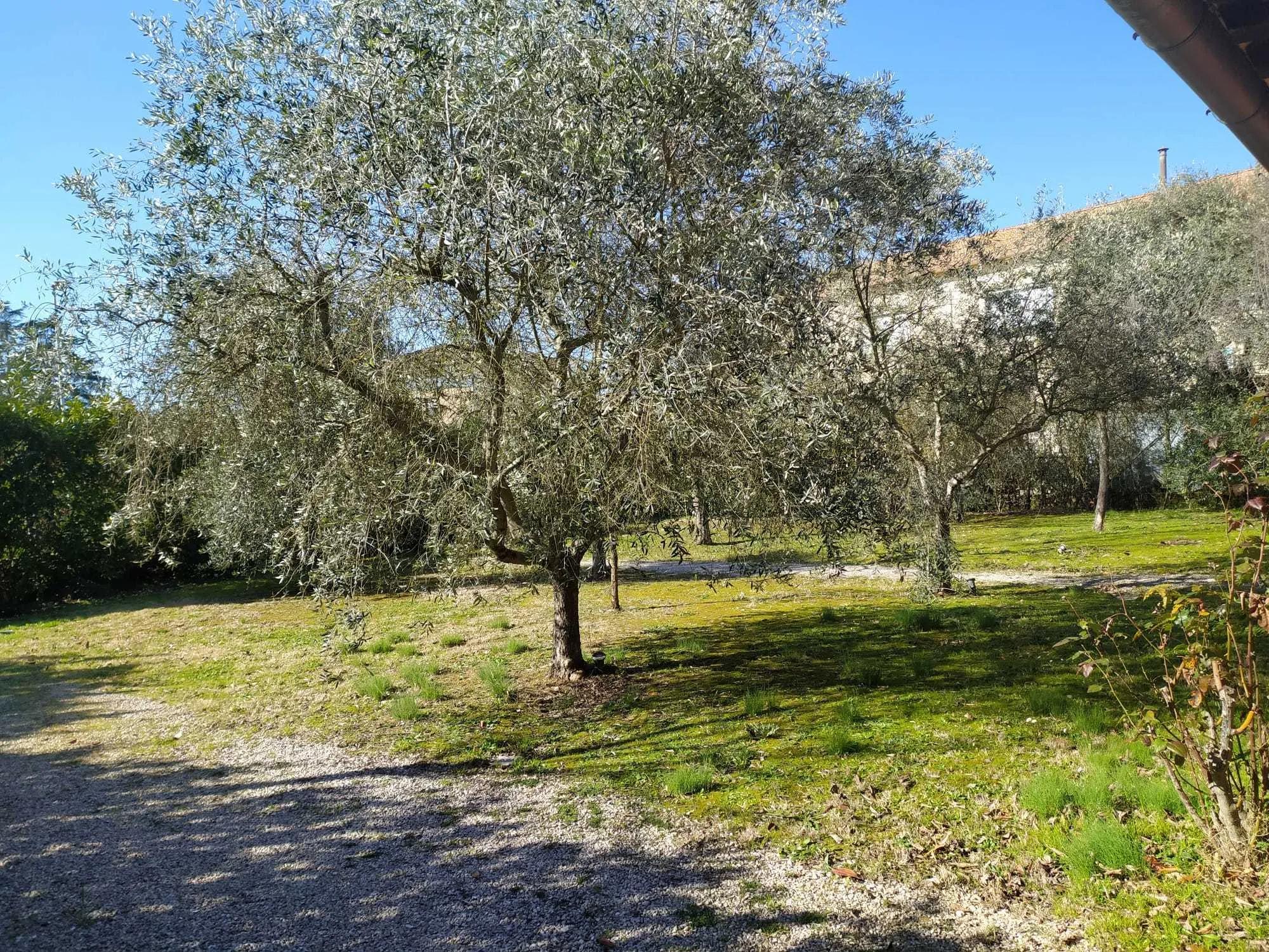 Foto 6 di 23 - Casa indipendente in vendita a Attigliano