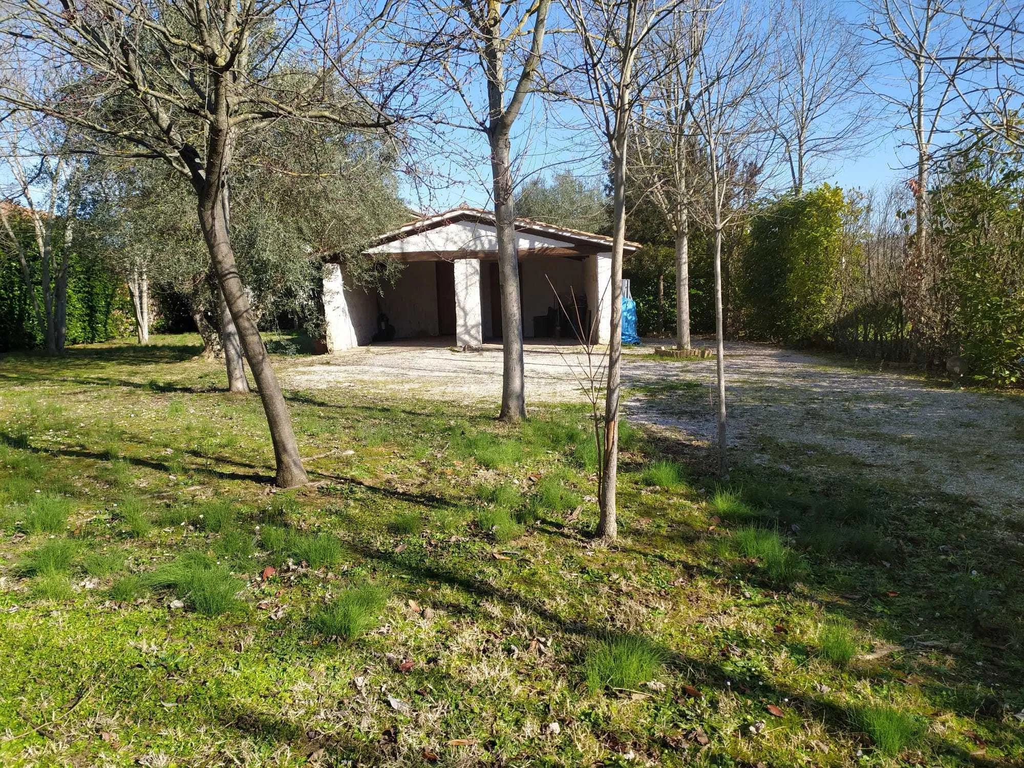Foto 7 di 23 - Casa indipendente in vendita a Attigliano