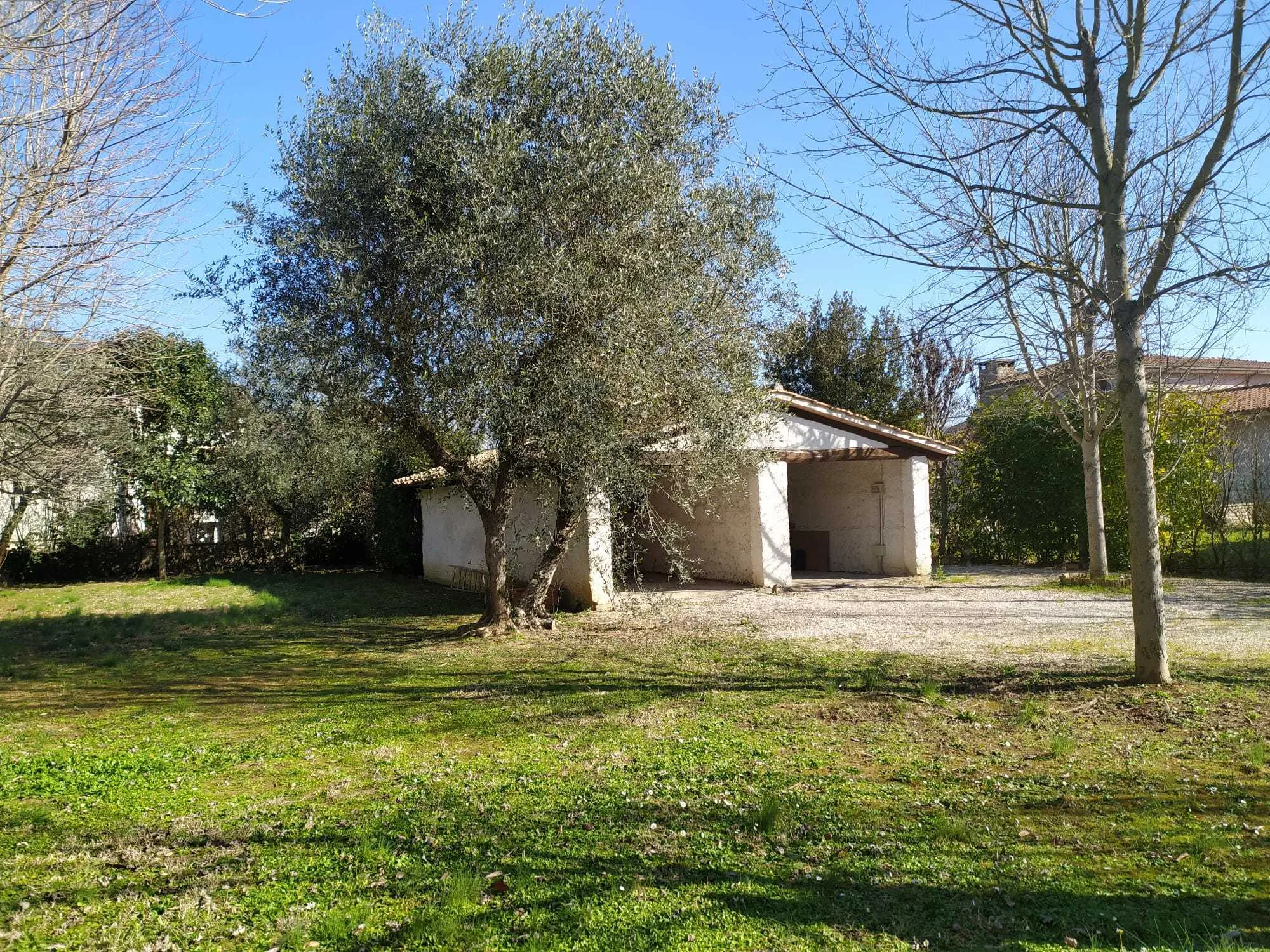 Foto 9 di 23 - Casa indipendente in vendita a Attigliano