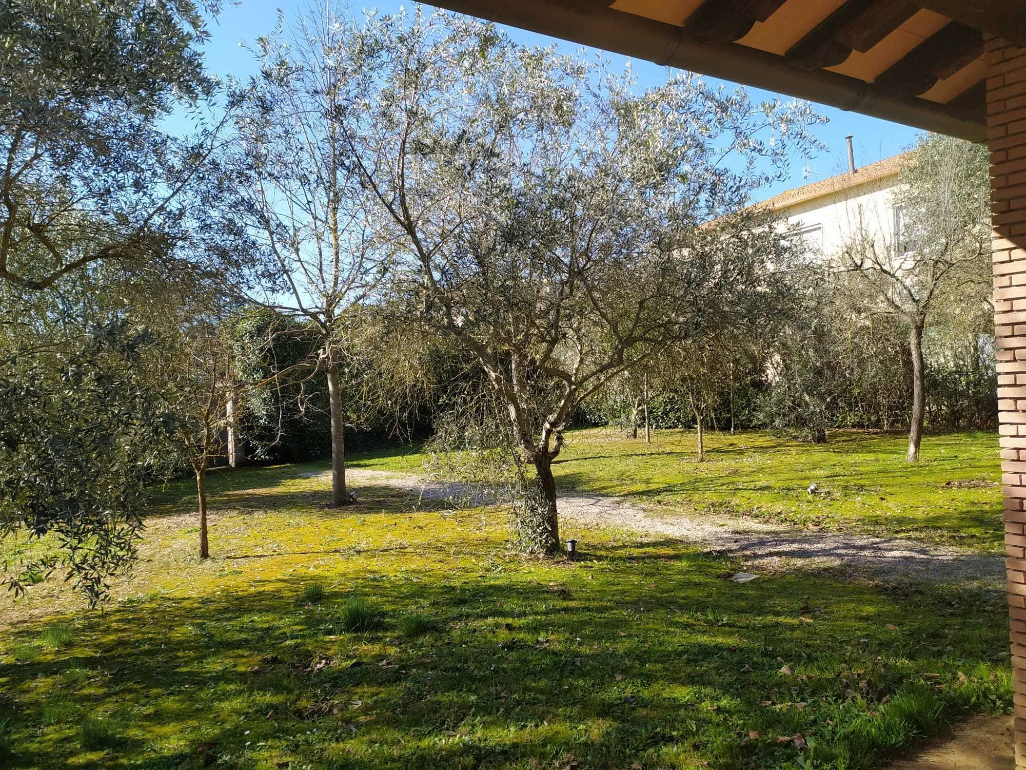 Foto 12 di 23 - Casa indipendente in vendita a Attigliano