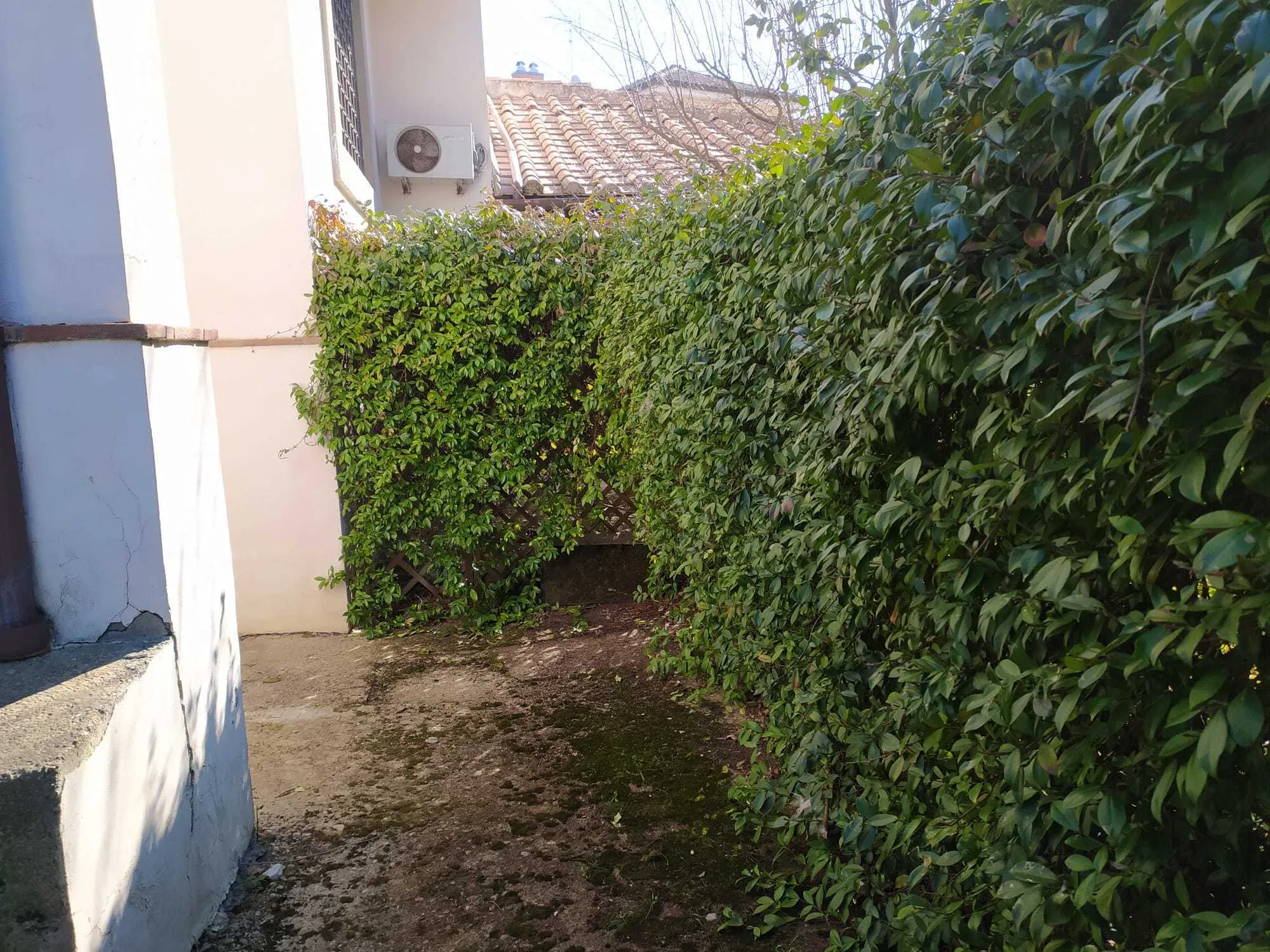 Foto 13 di 23 - Casa indipendente in vendita a Attigliano