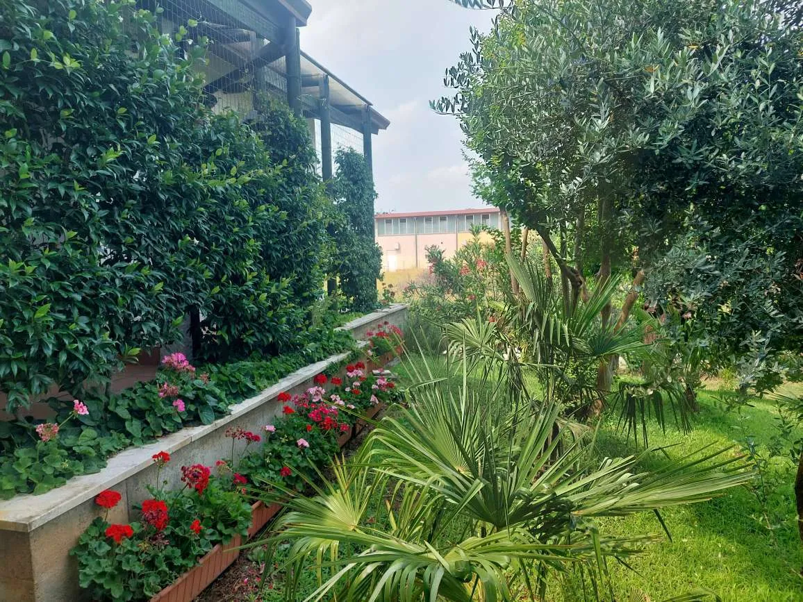 Foto 5 di 20 - Casa indipendente in vendita a Marmirolo