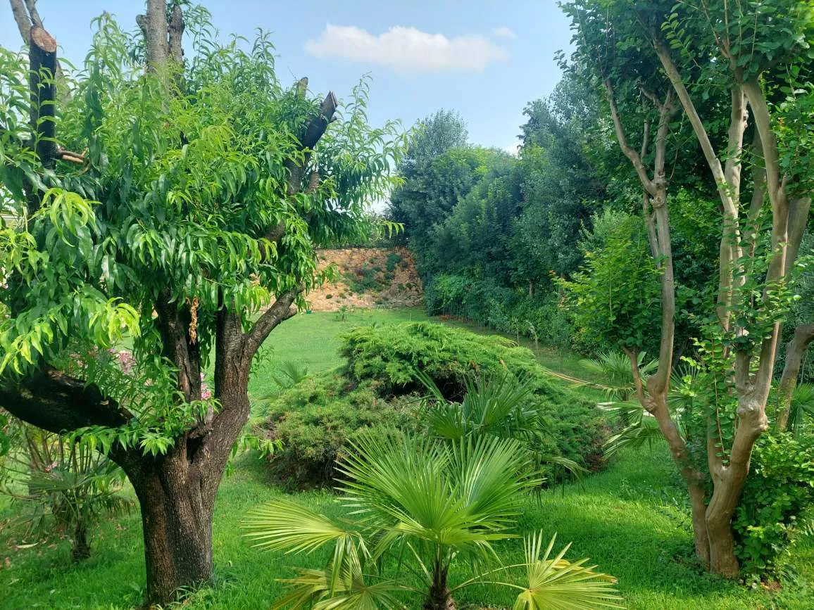 Foto 6 di 20 - Casa indipendente in vendita a Marmirolo