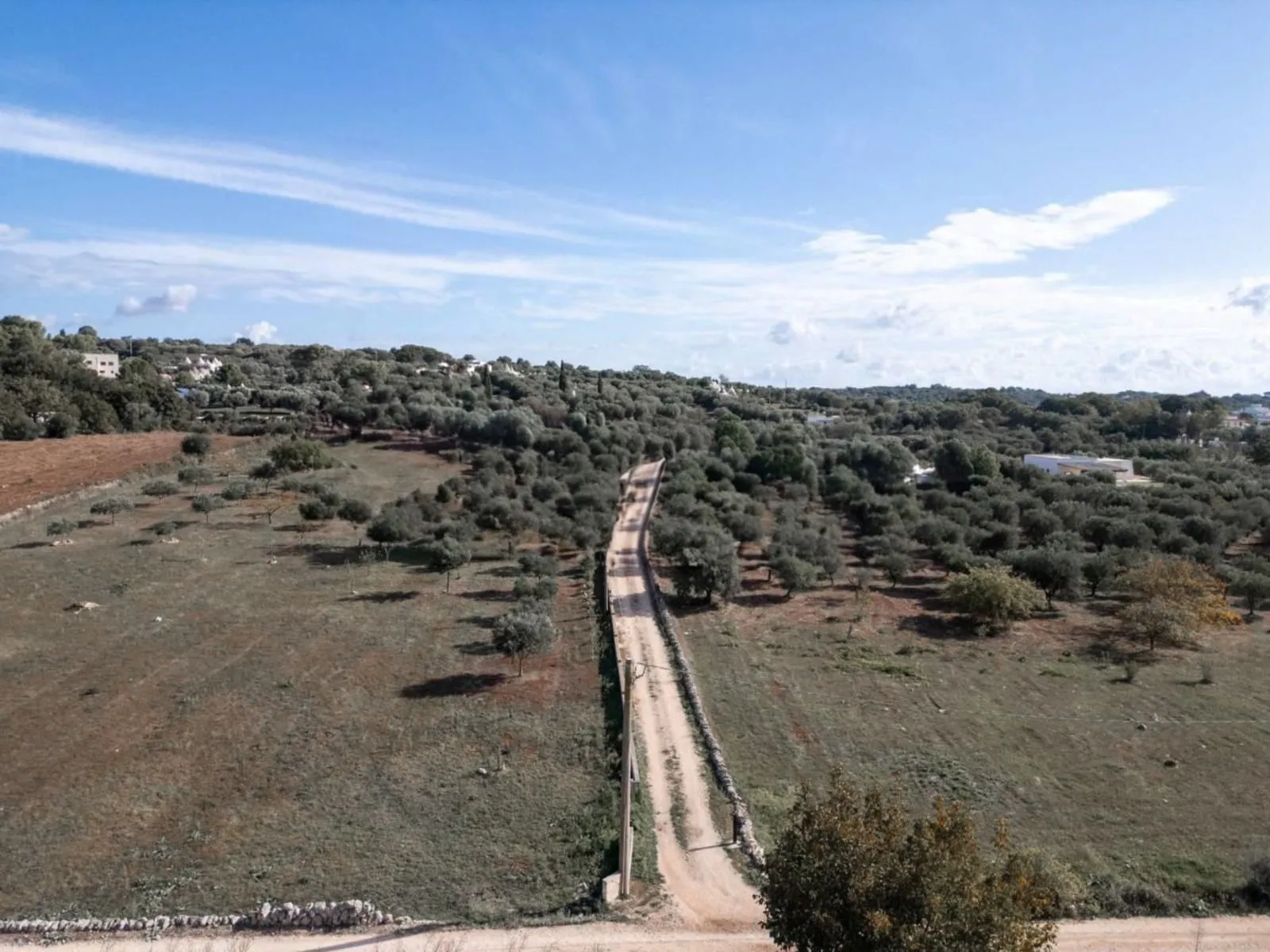 Foto 5 di 34 - Casa indipendente in vendita a Ostuni