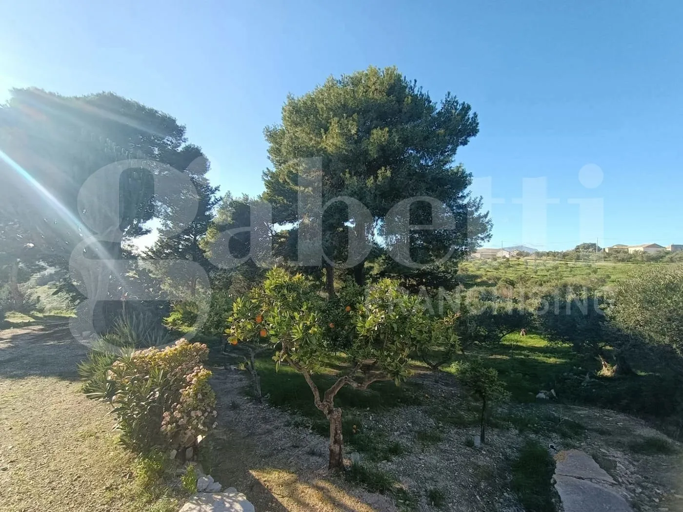 Foto 25 di 34 - Casa indipendente in vendita a Erice