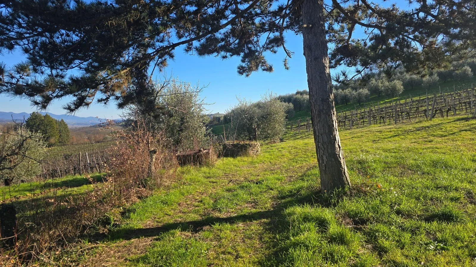 Foto 6 di 28 - Casa indipendente in vendita a Castel Viscardo